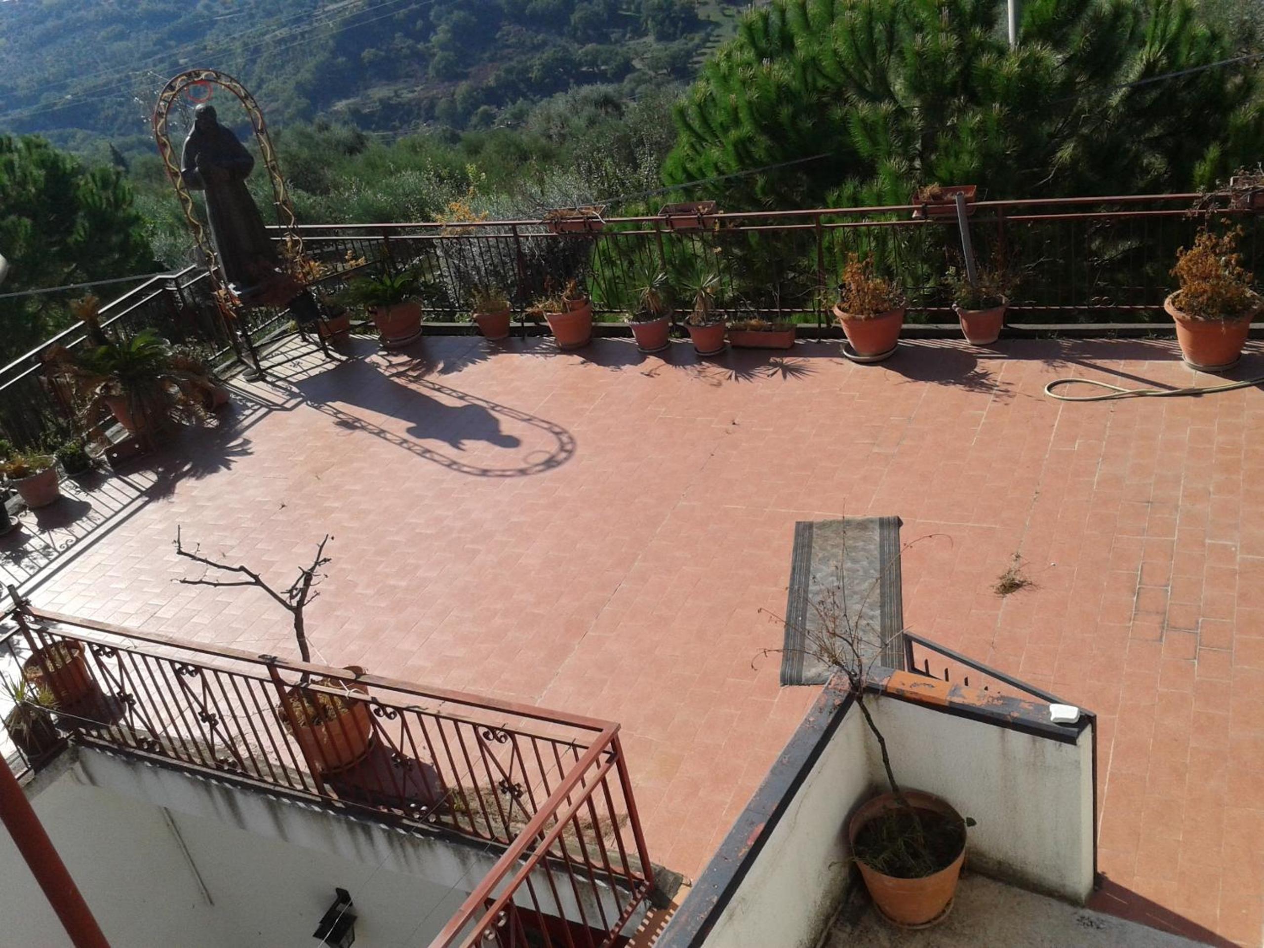 Rosa di Calabria