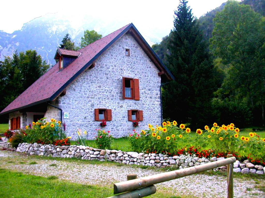 Photo 21