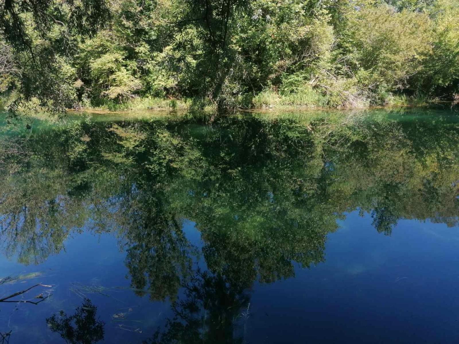 Kuca Delić