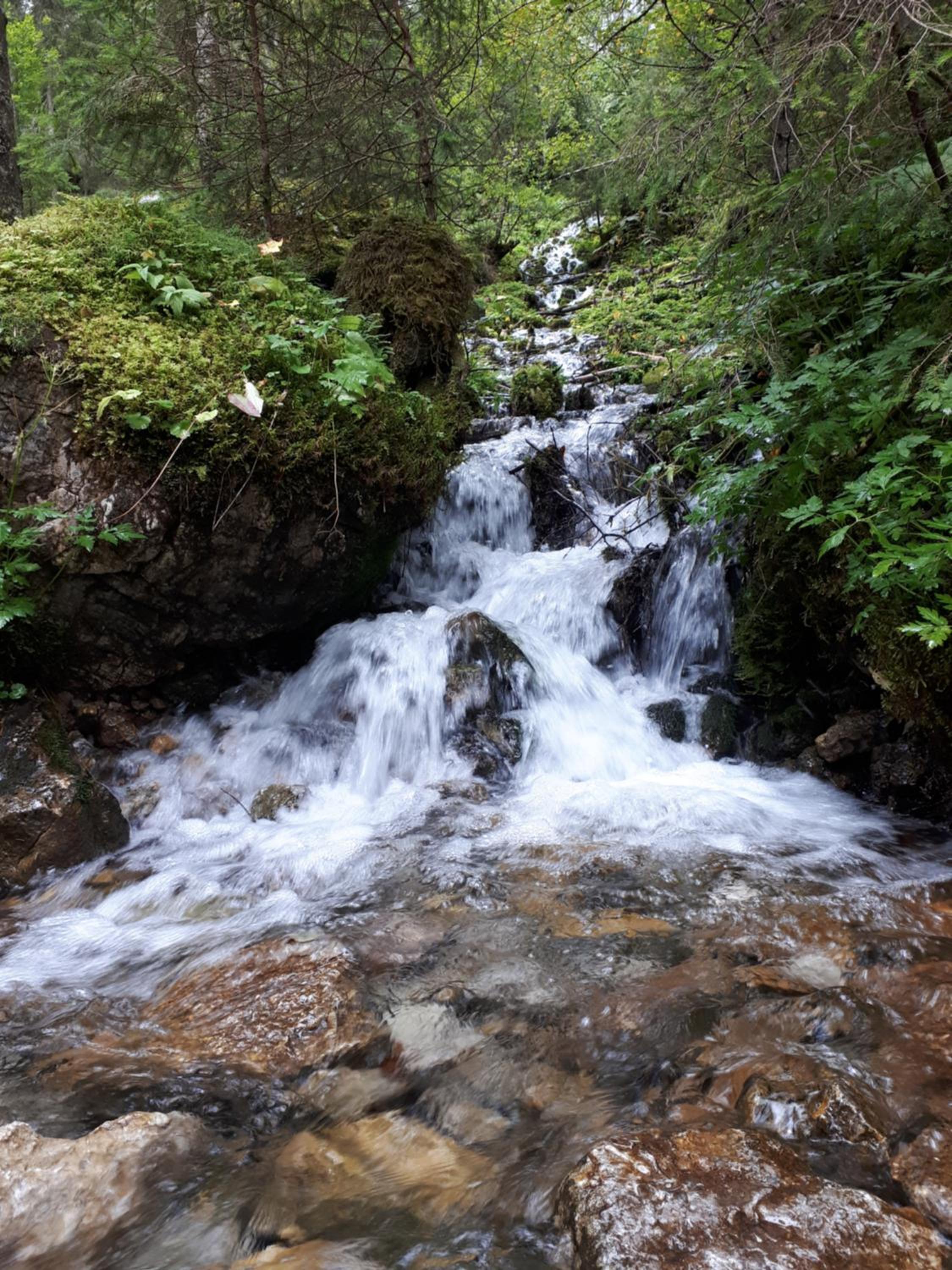 Photo 41
