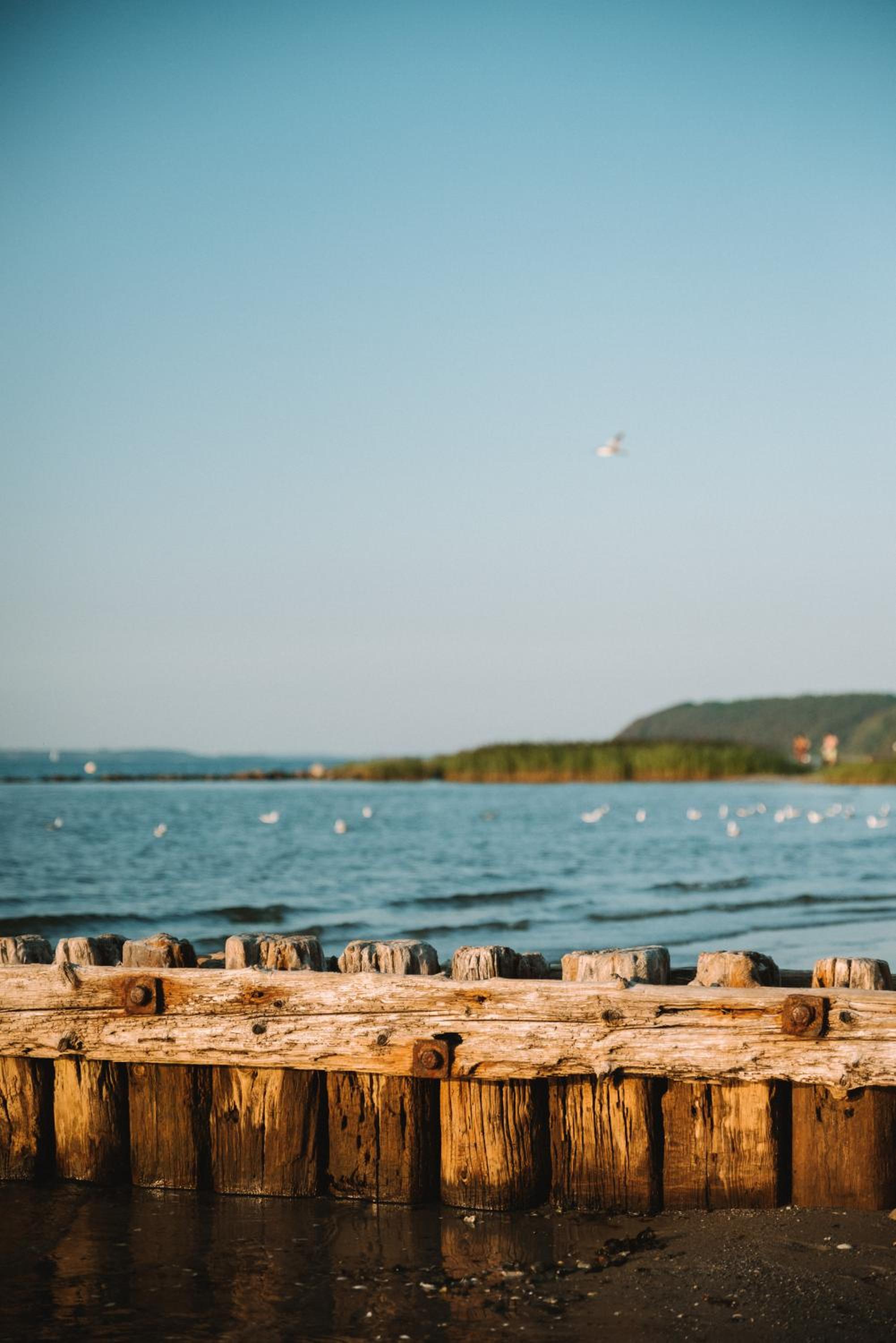 Urlaub an der Flensburger Förde mit Sauna & schönem Ambiente