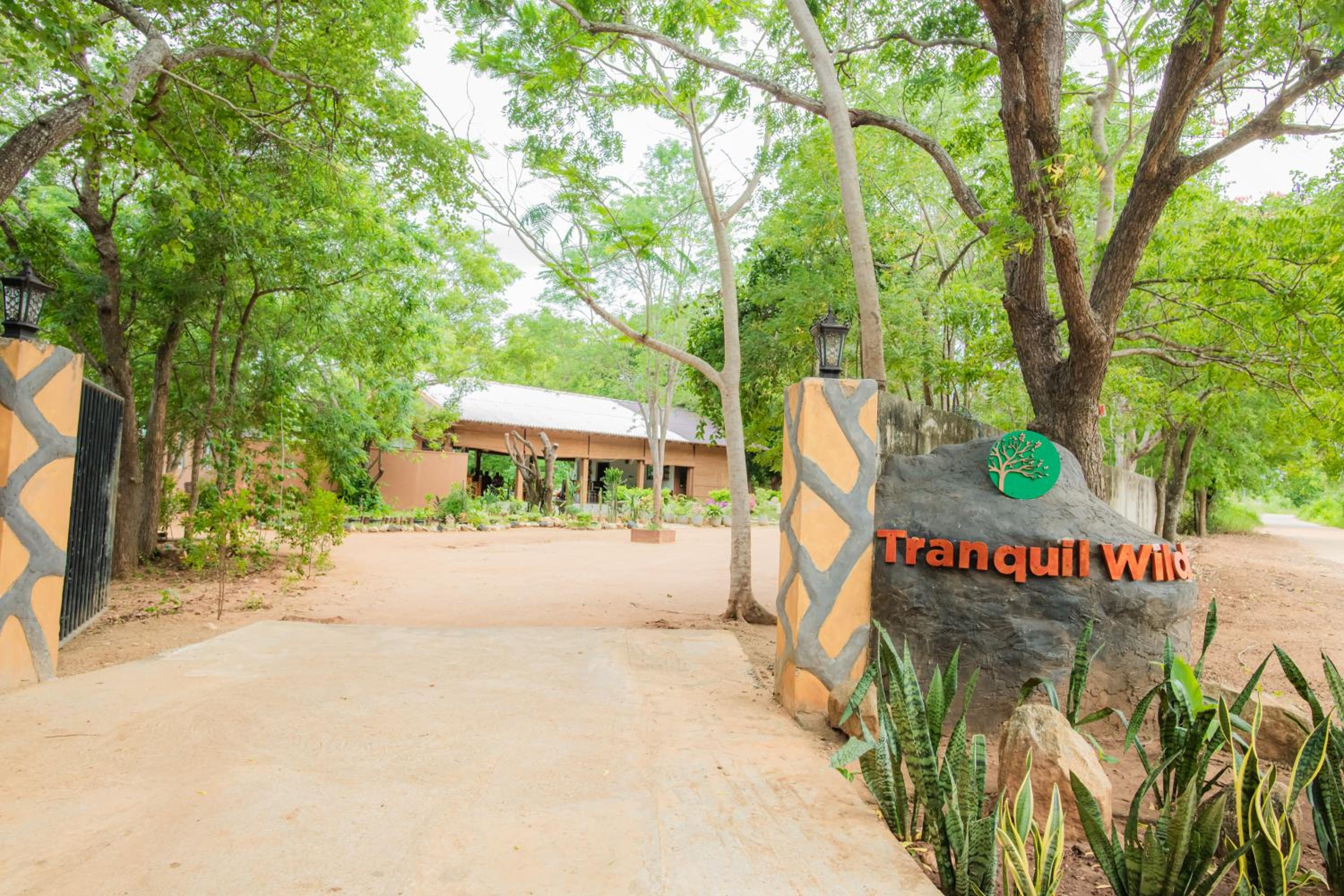 Tranquil Wild