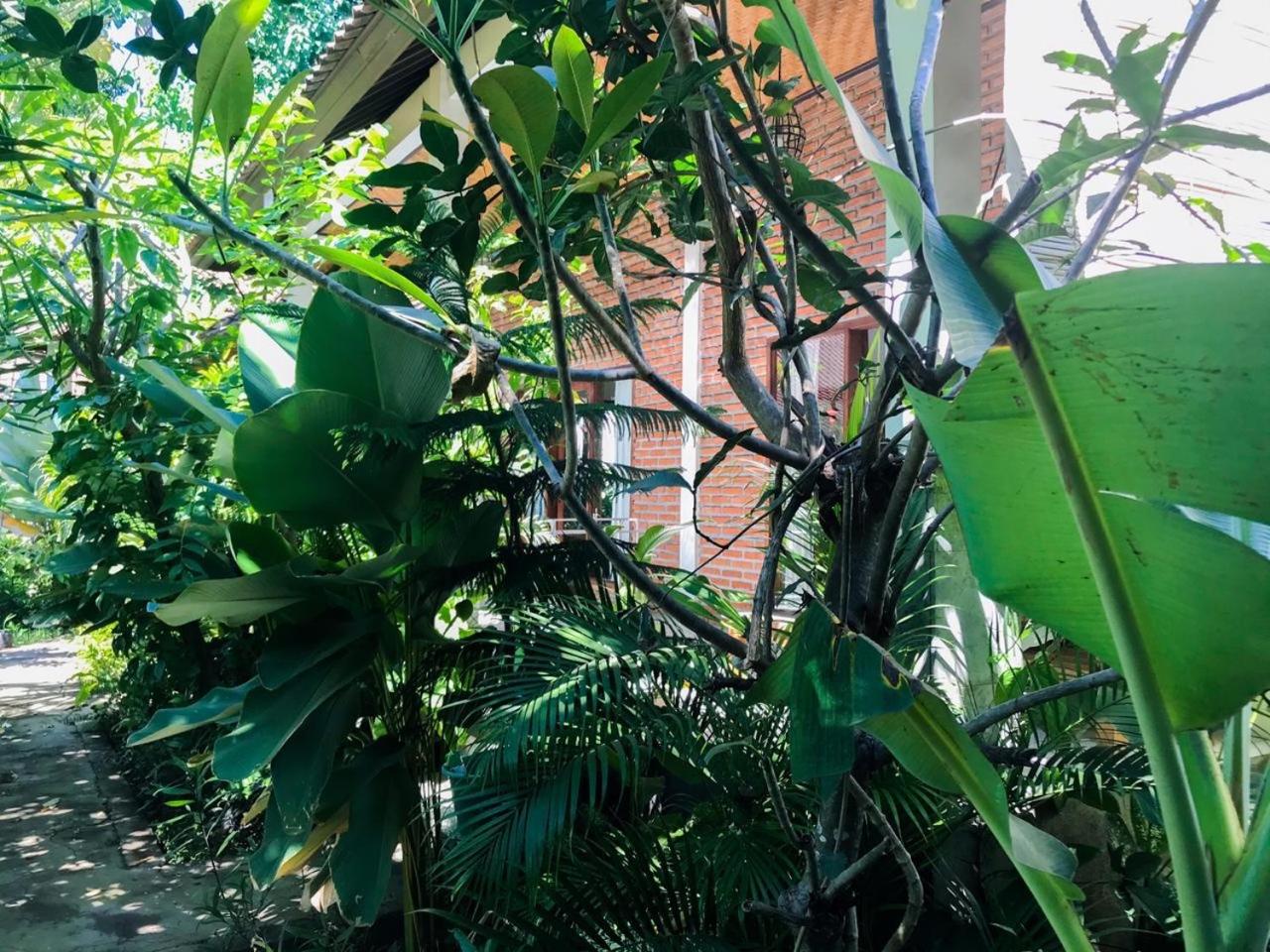 Enak Bungalow view 4