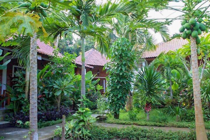Enak Bungalow view 3