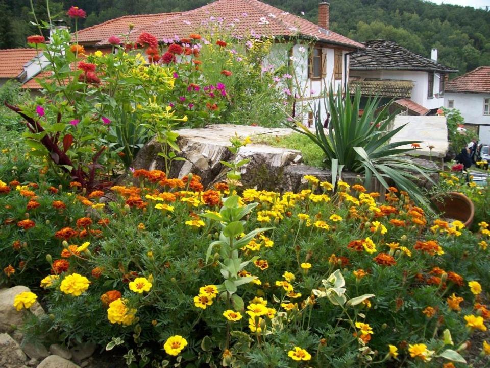 Staroto Shkolo House - rooms for guests
