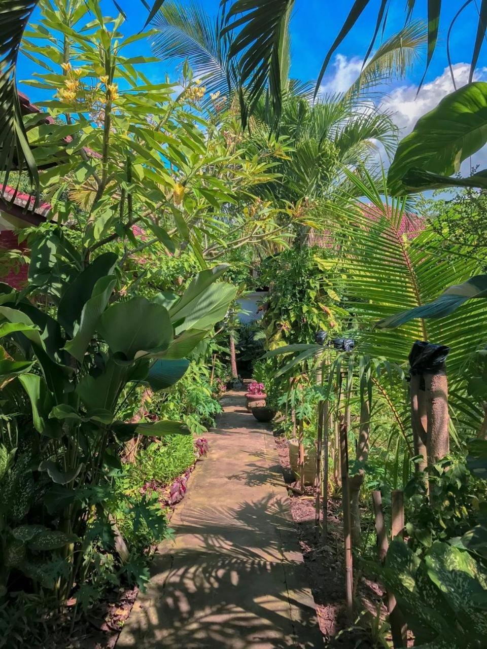 Enak Bungalow view 2