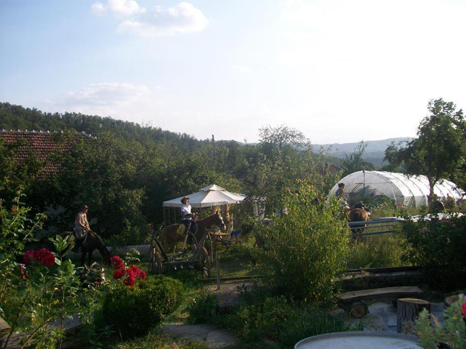 Staroto Shkolo House - rooms for guests