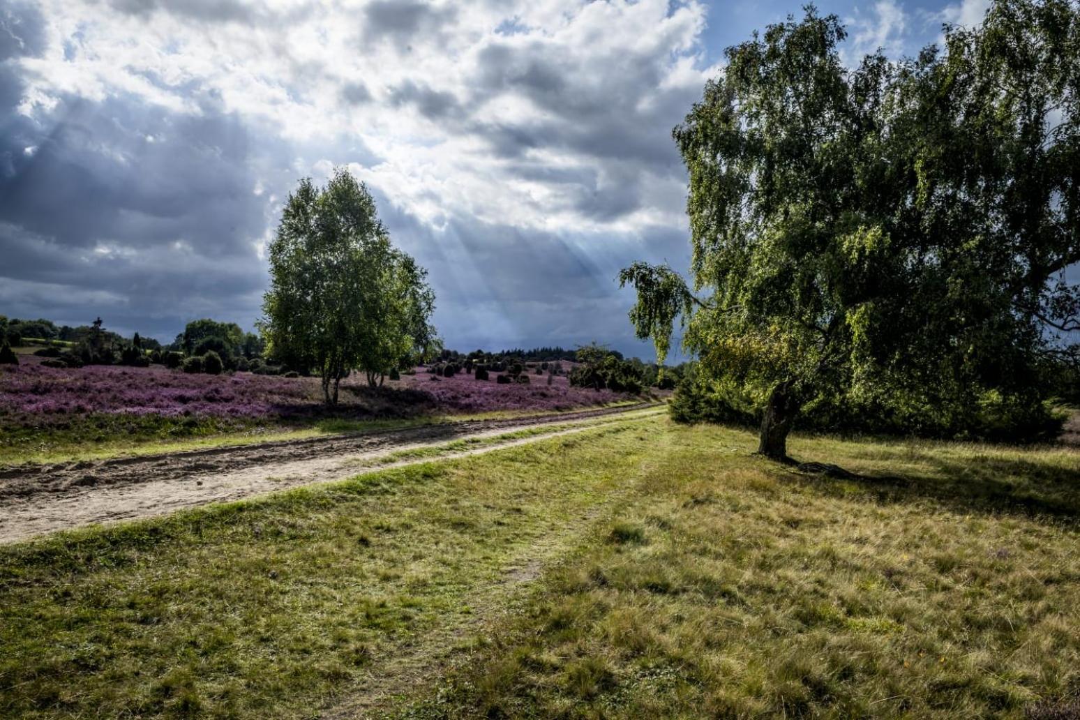 Ferienwohnung Heide View
