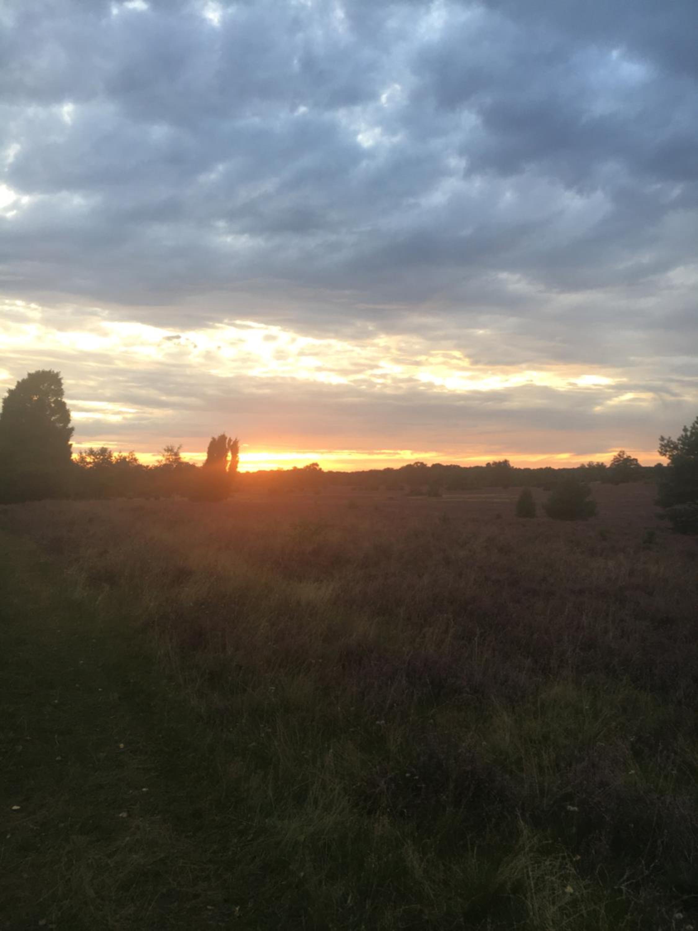 Ferienwohnung Heide View