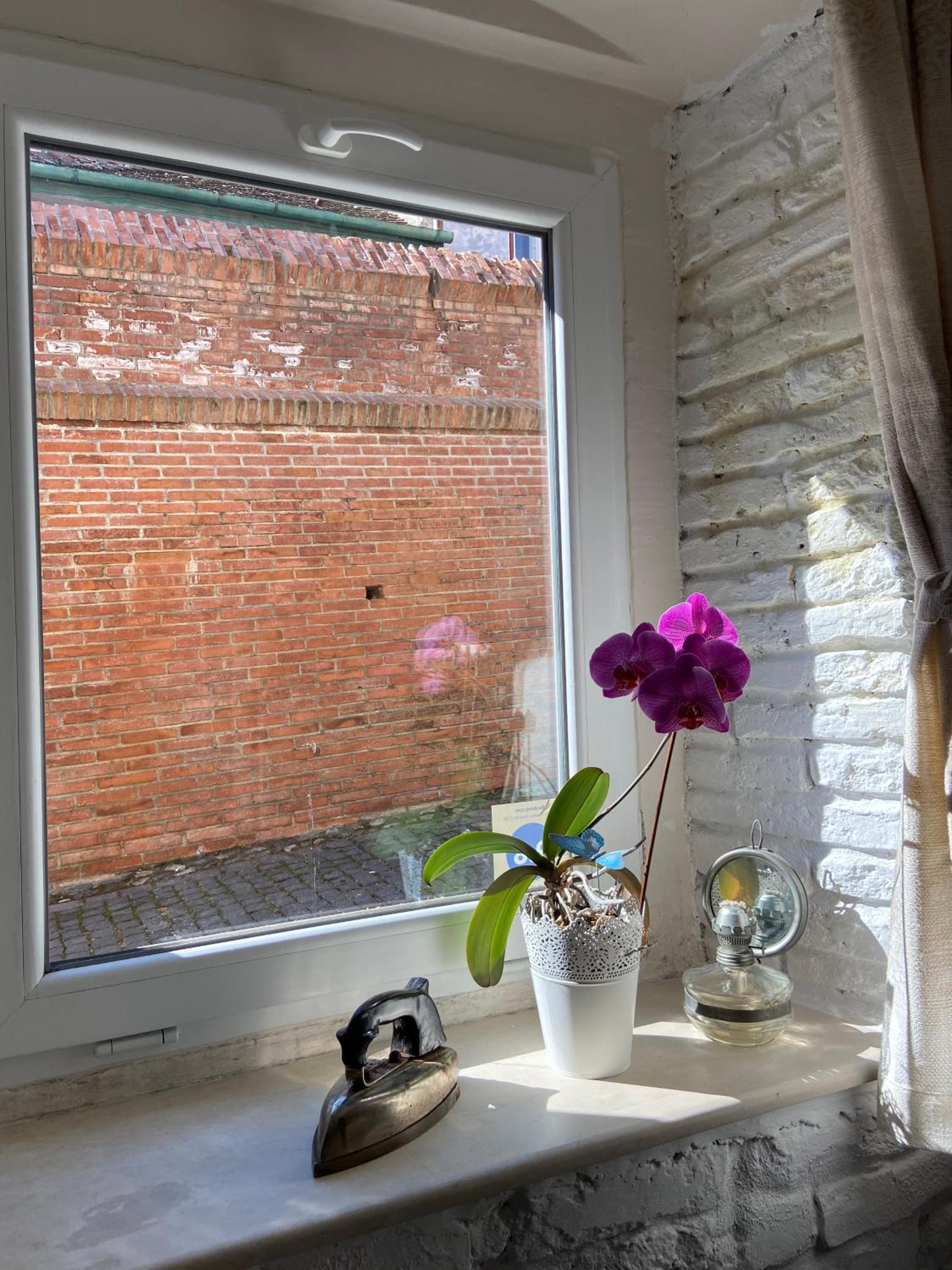 Brick Wall view 4