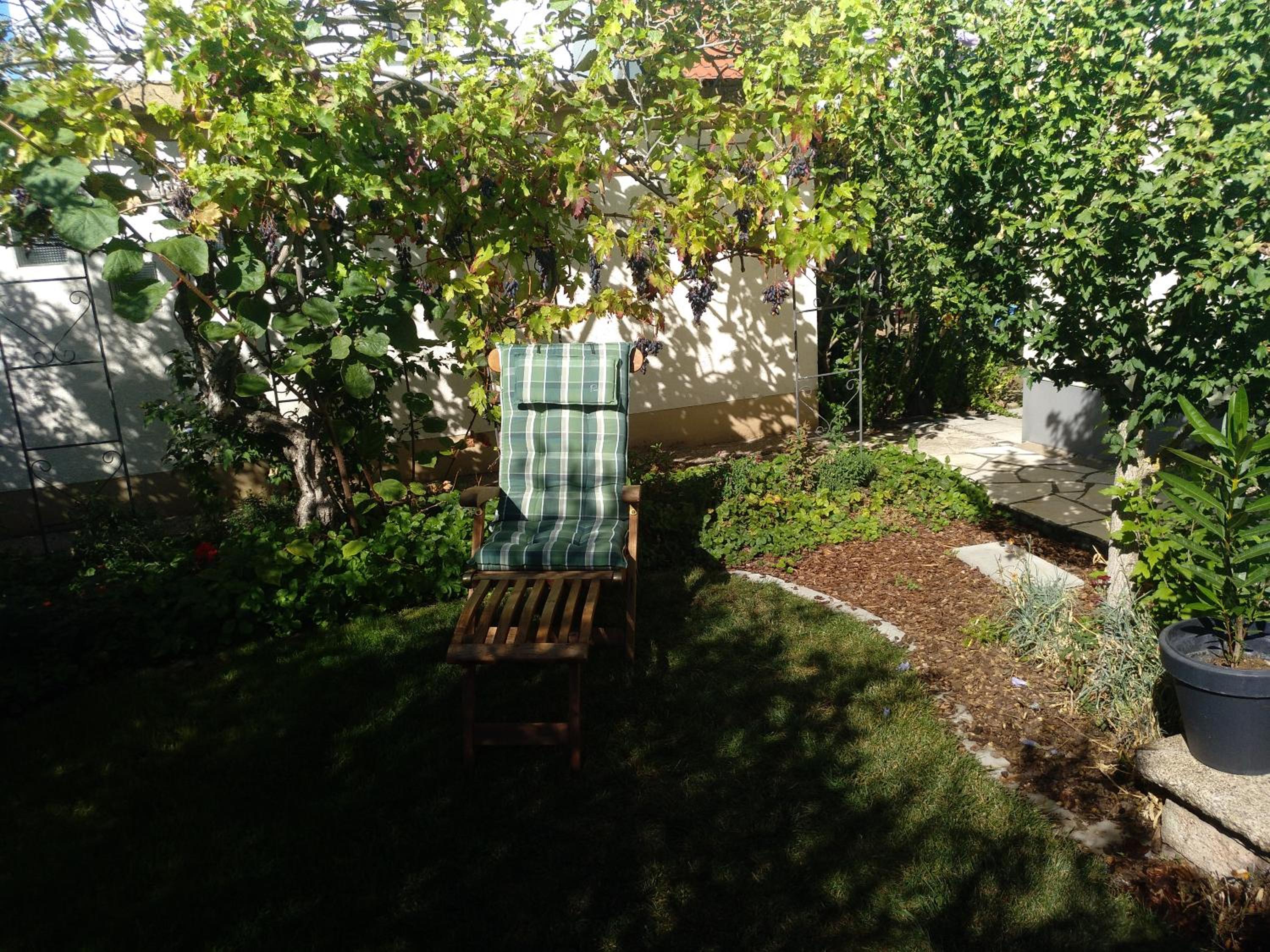 Kakteengarten
