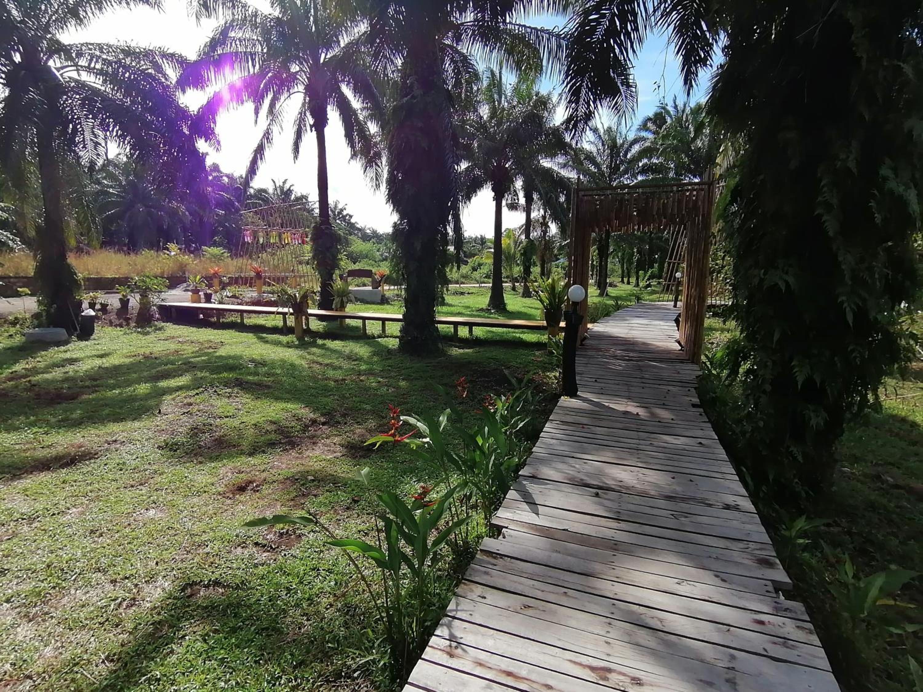 Photo 6