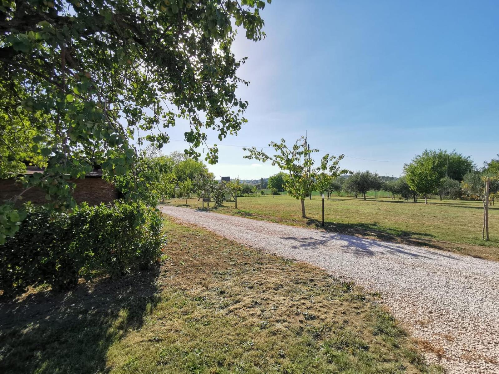 La Casina di Ely view 3