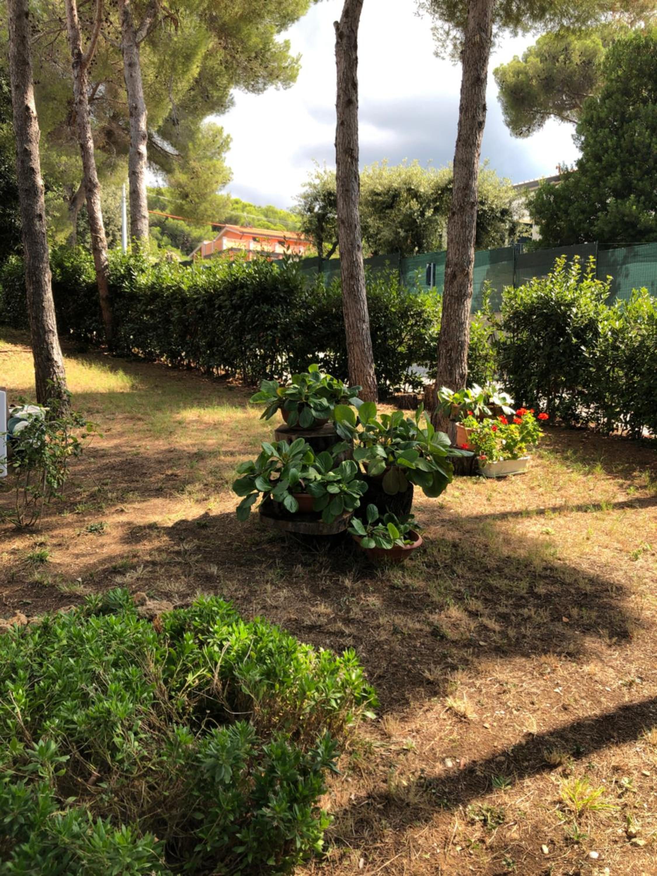 Photo 47