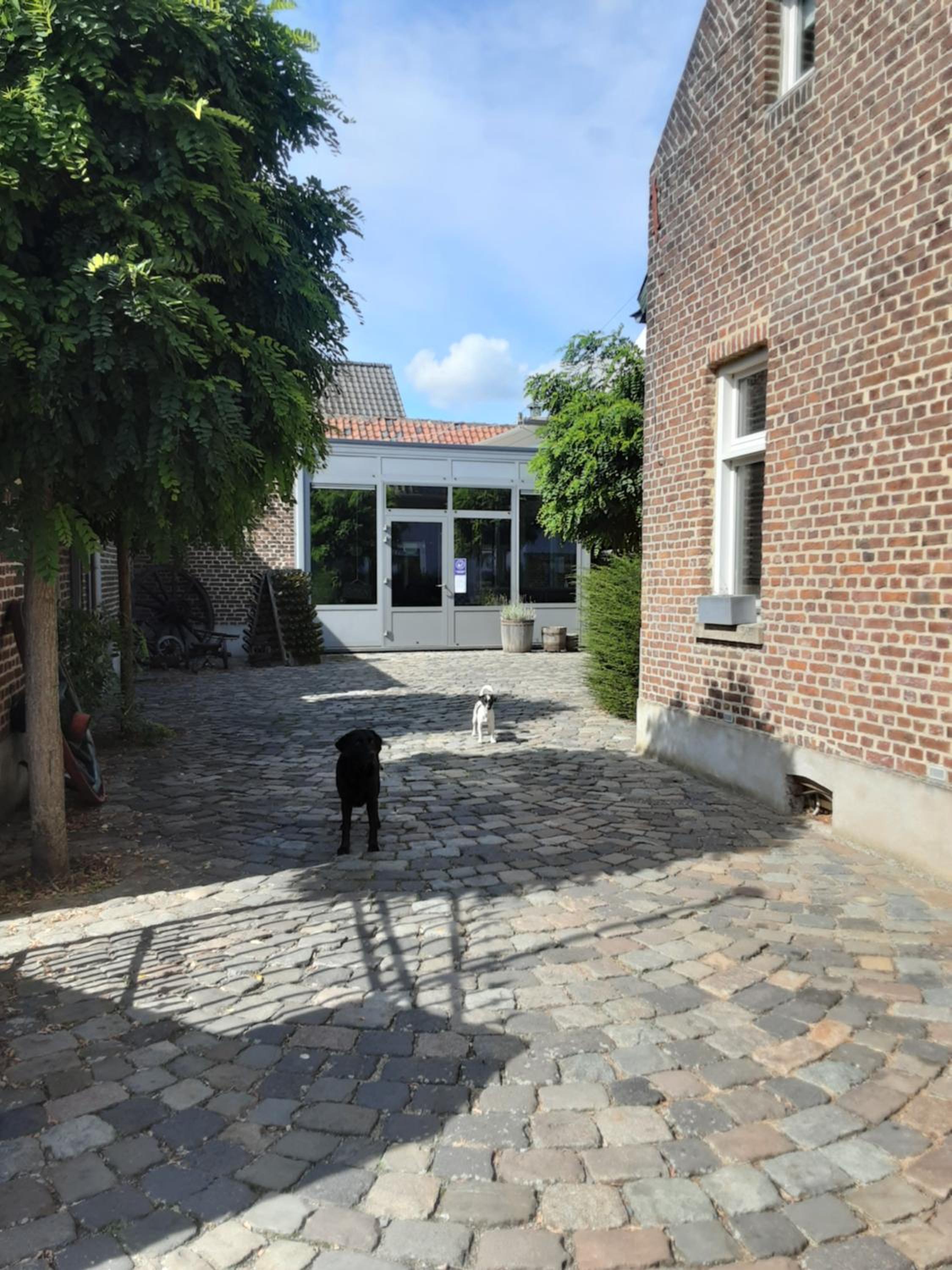 Photo 17