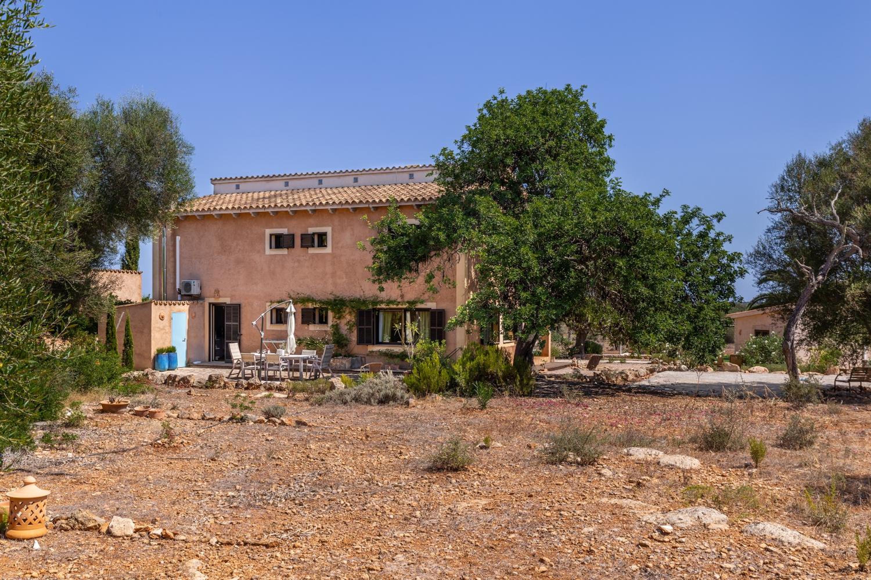 Finca El Retiro view 5