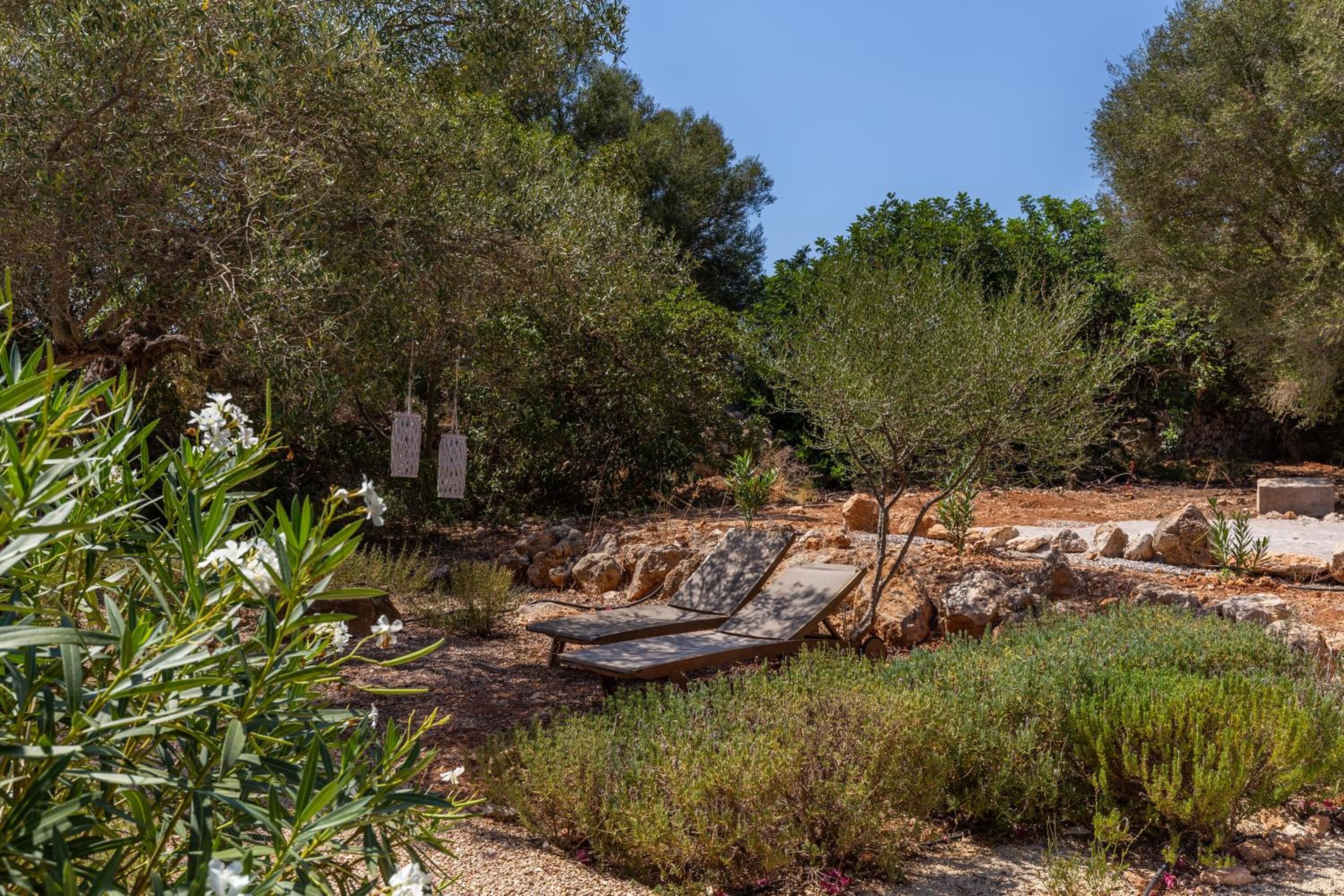Finca El Retiro view 3