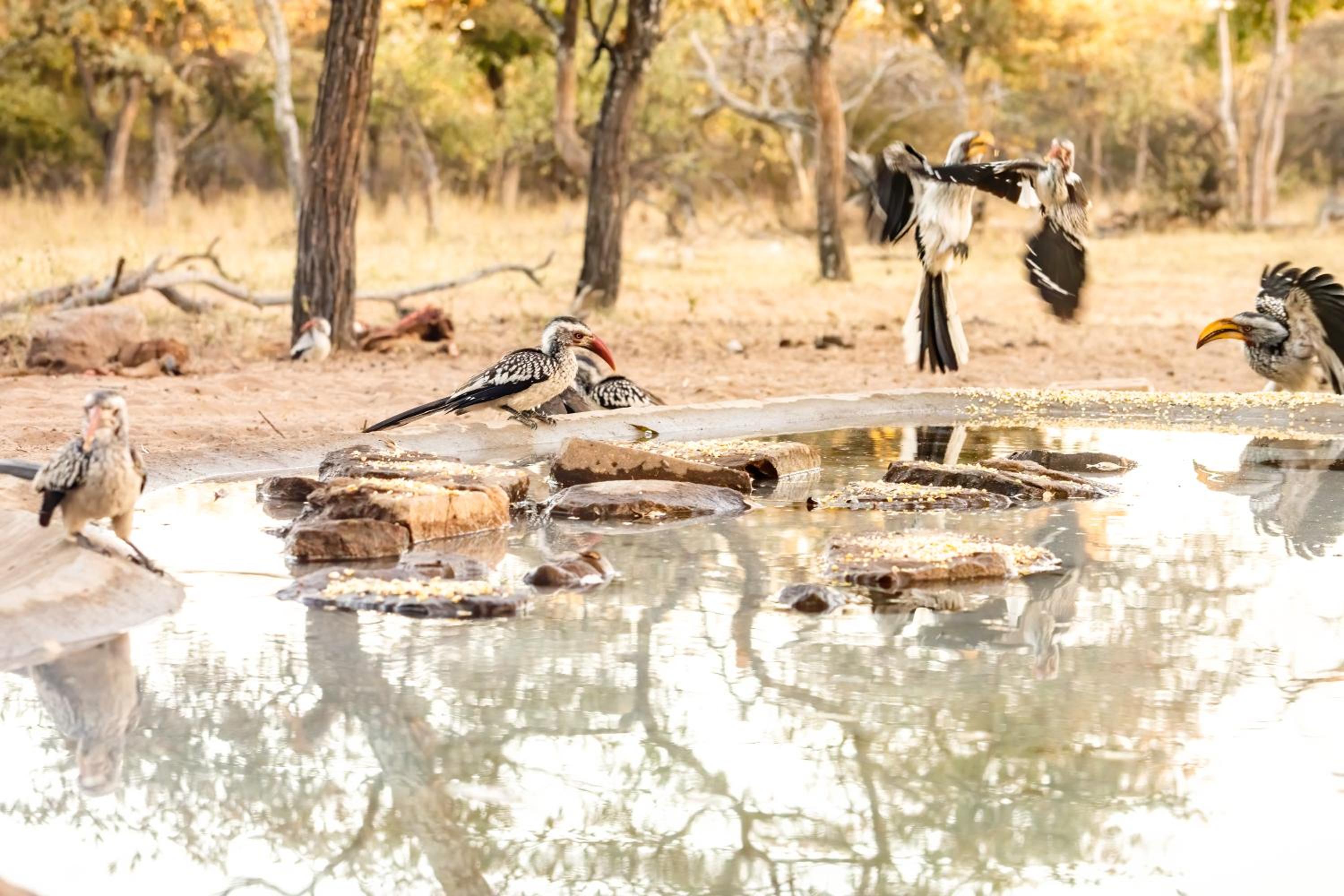 Ukuta Bush Lodge view 4