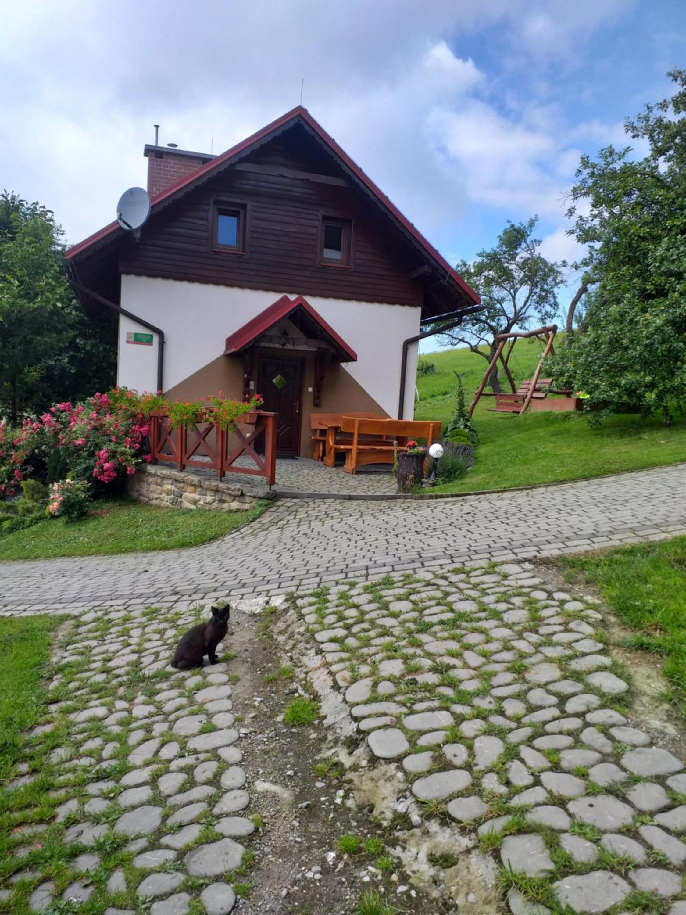 Photo 18