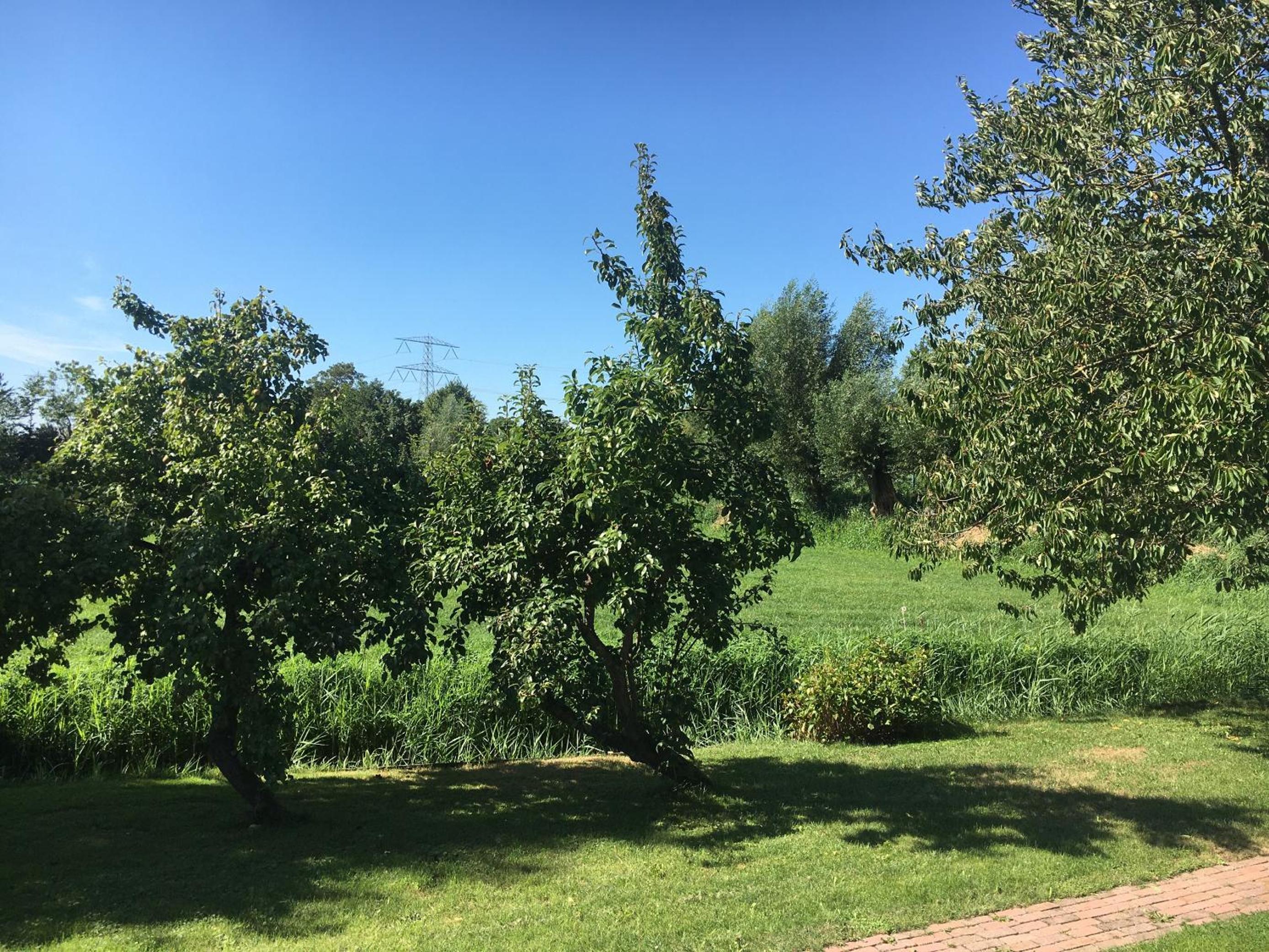 Photo 19