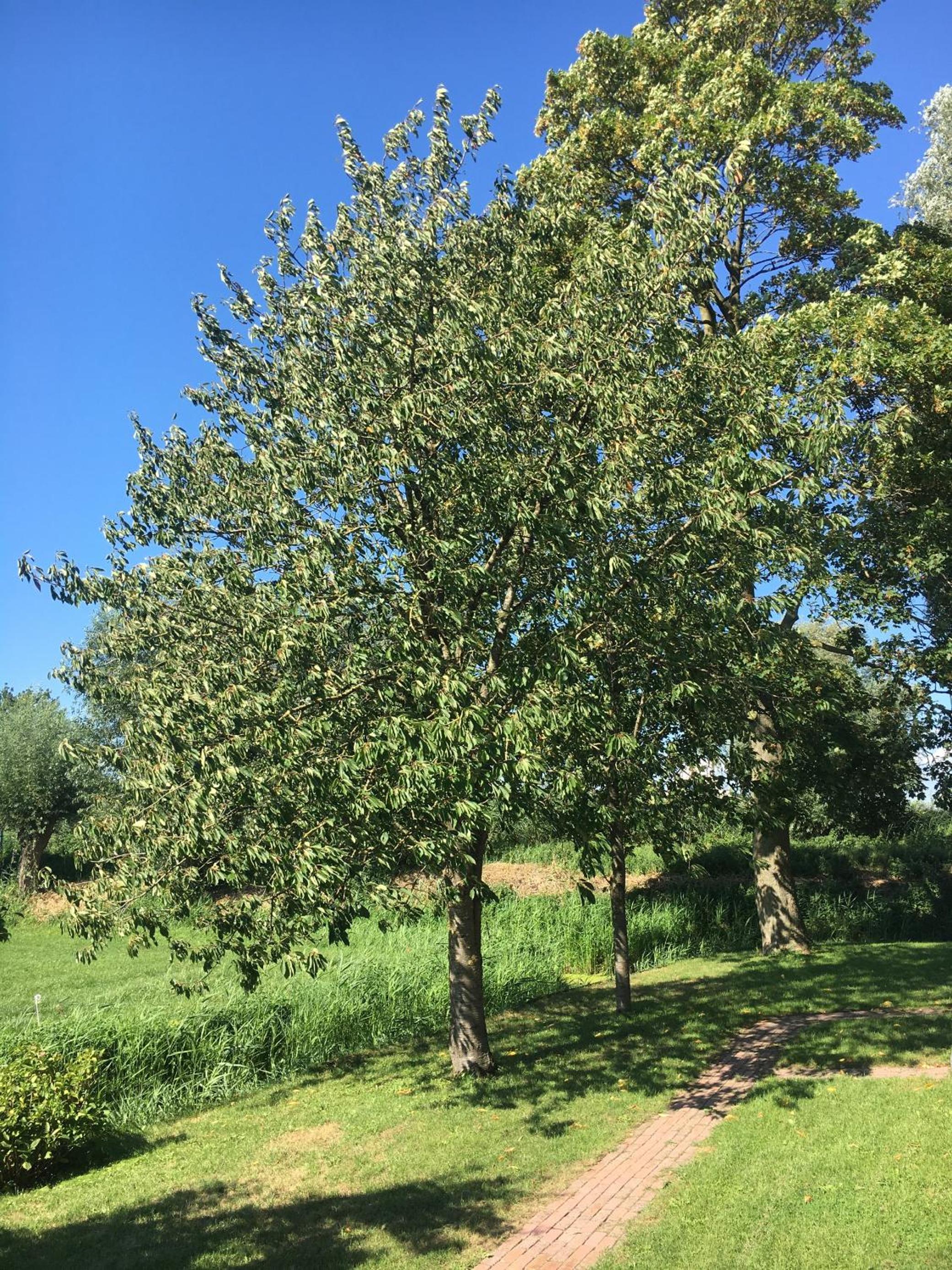 Photo 21
