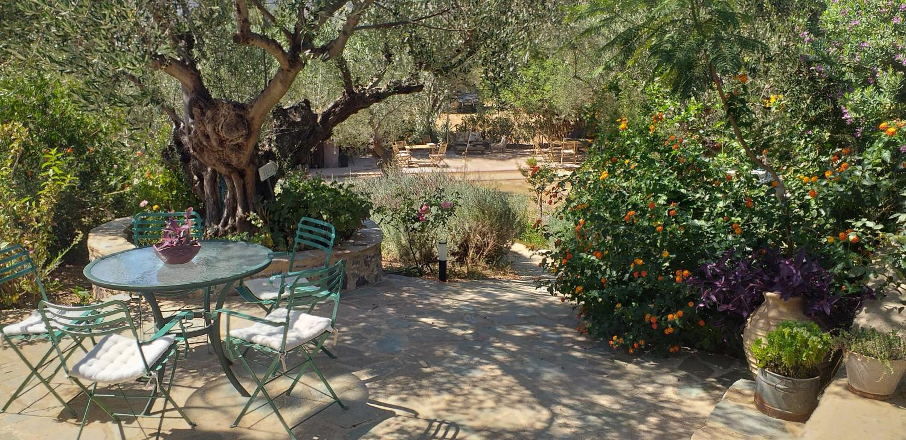 Kavoulakos Studios view 3