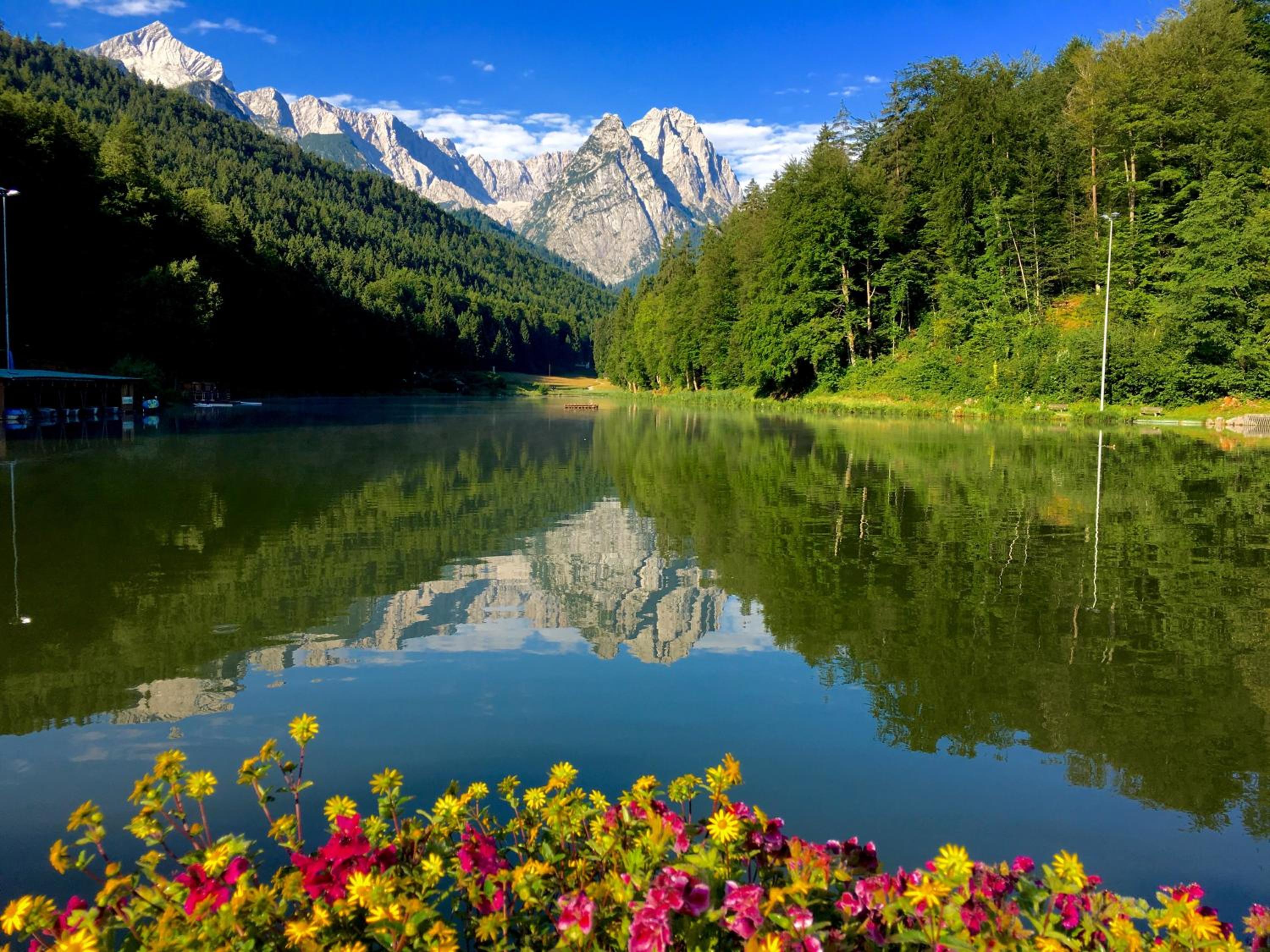 Alpine Escape Holiday Home with Mountain View