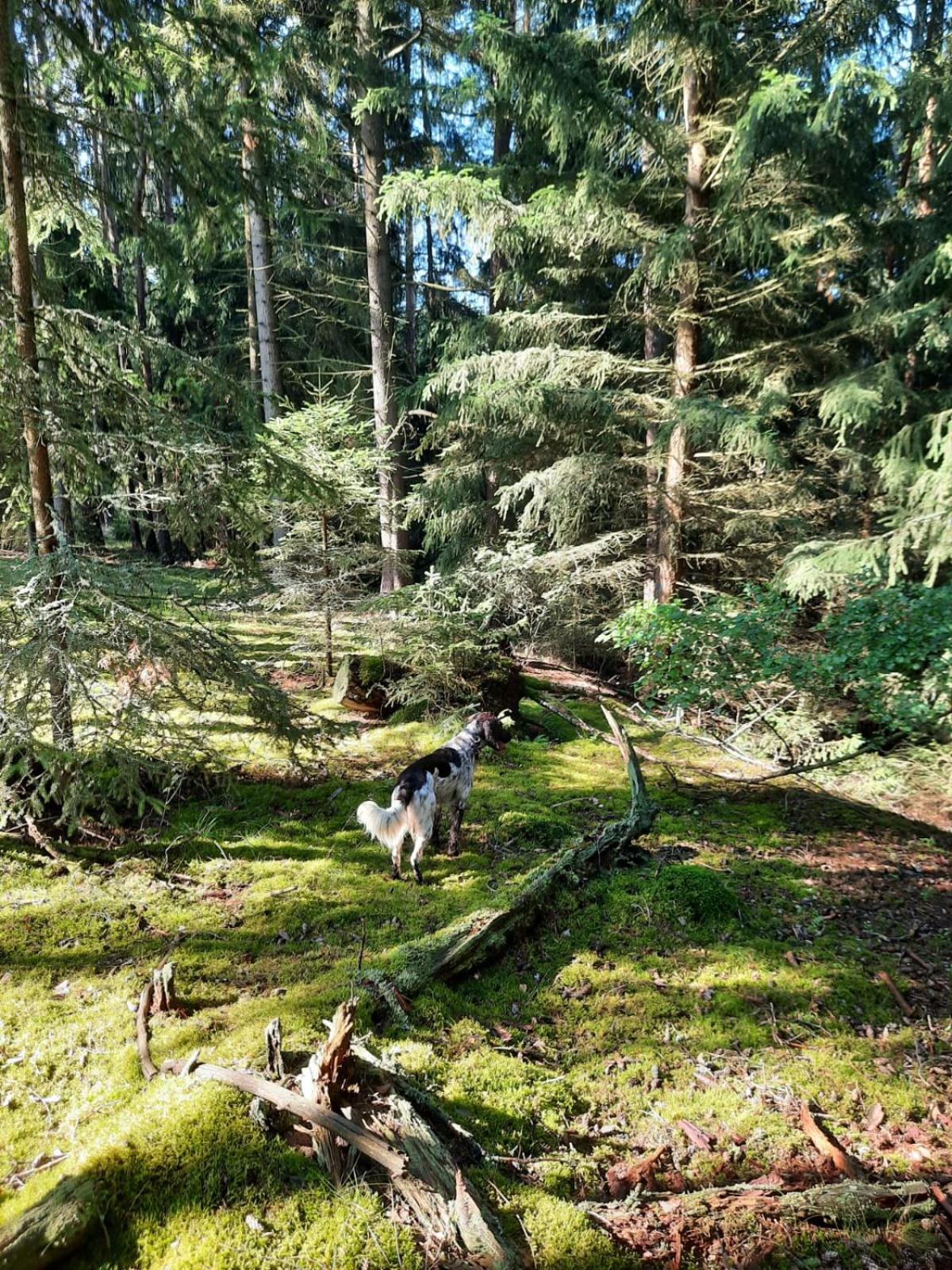 Photo 22