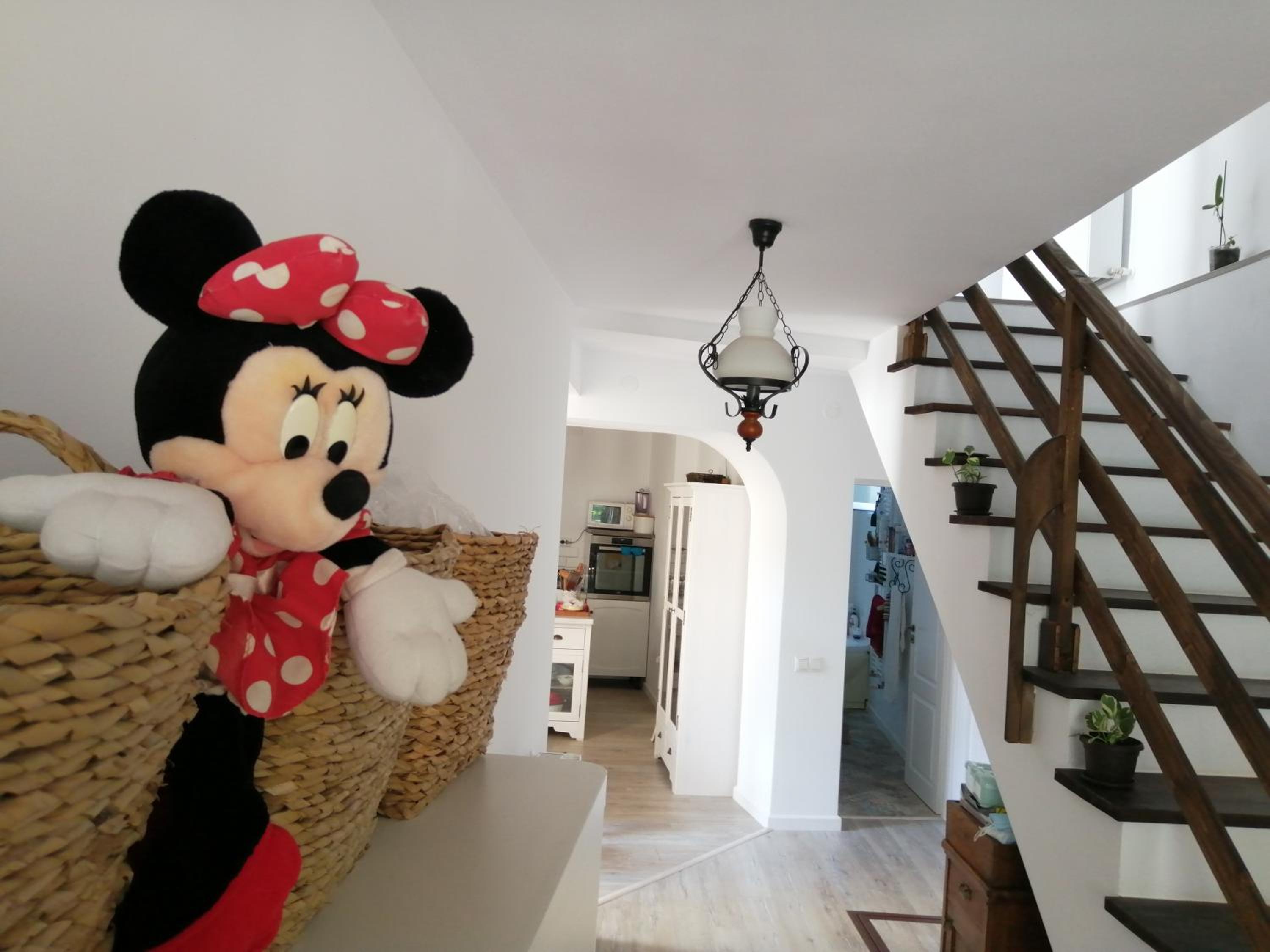 Casa Scheiana