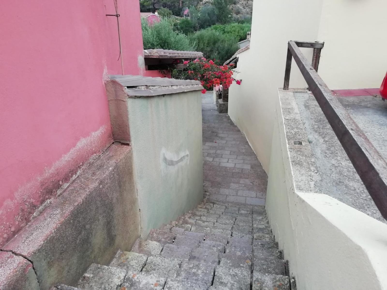 Photo 37