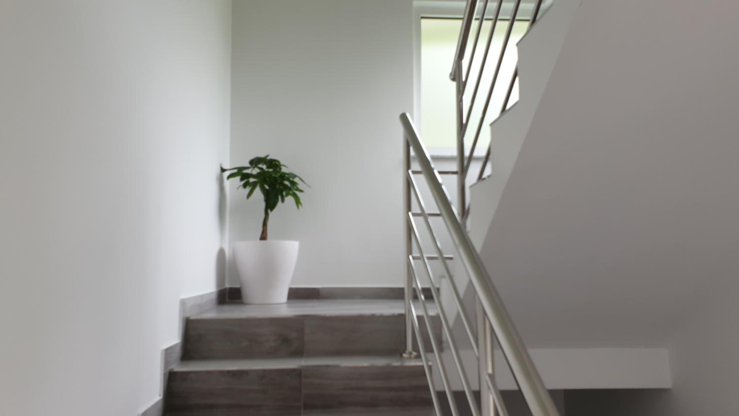 Apartmani Šalković view 5