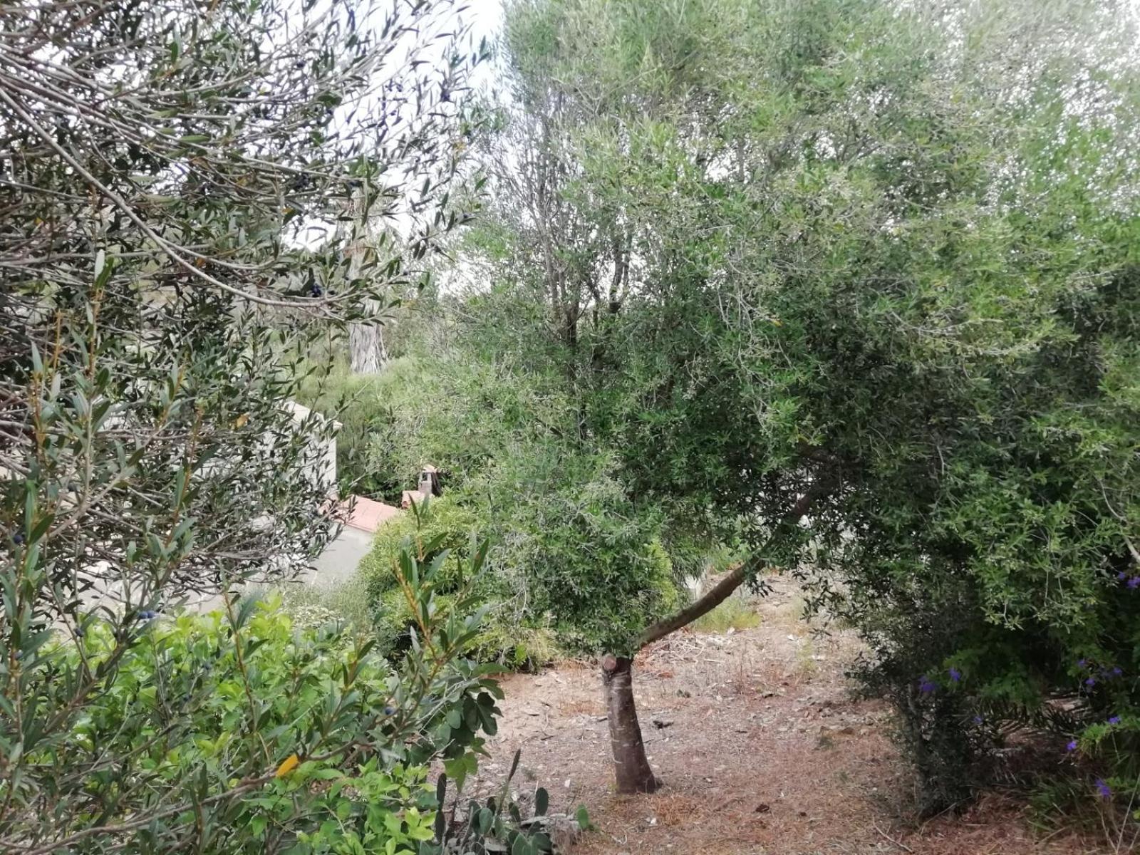 Photo 40
