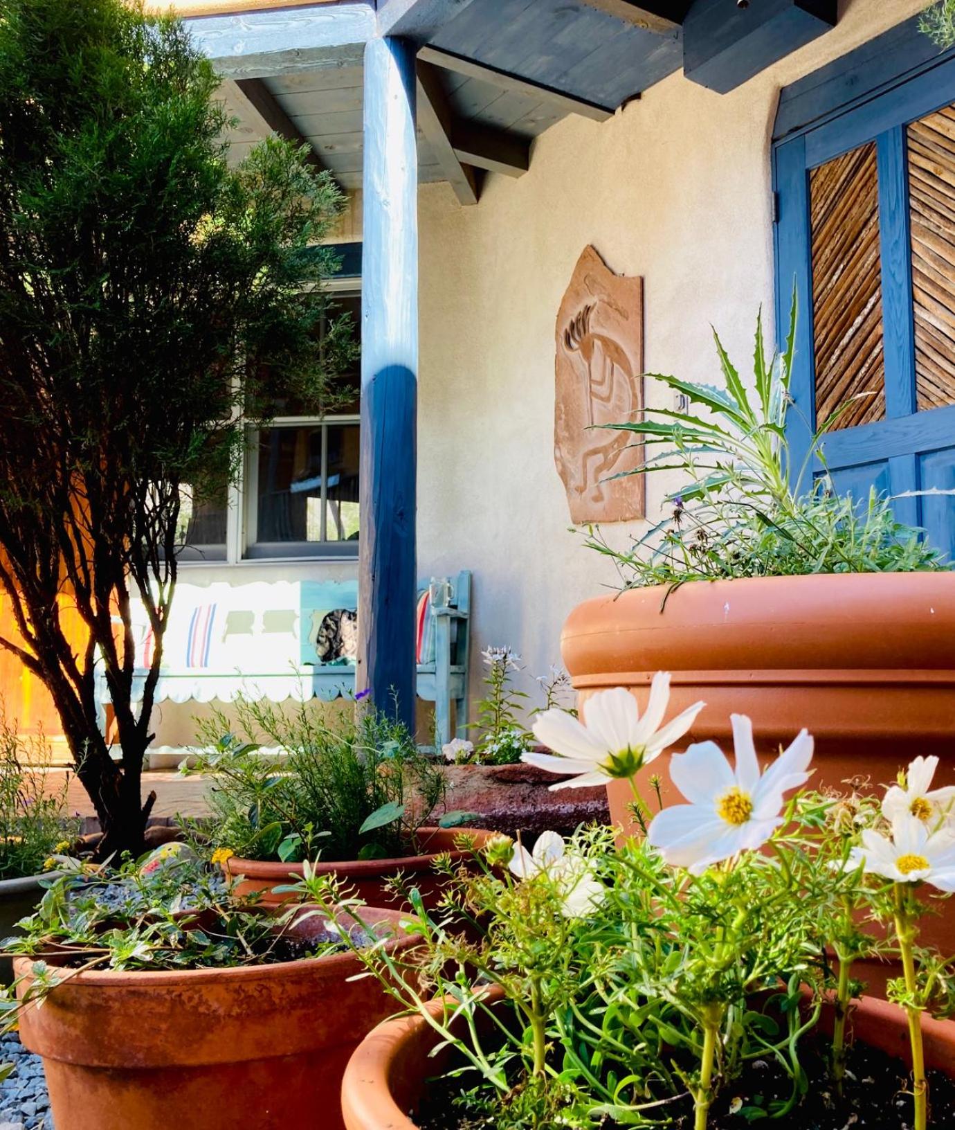 Guadalupe Inn