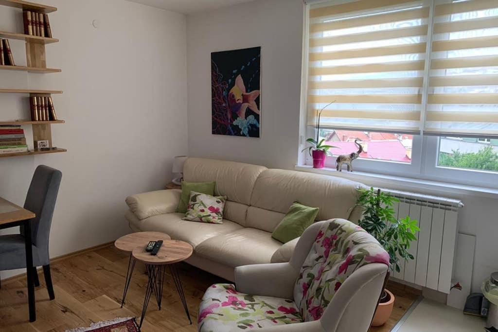 Apartment Mona view 4
