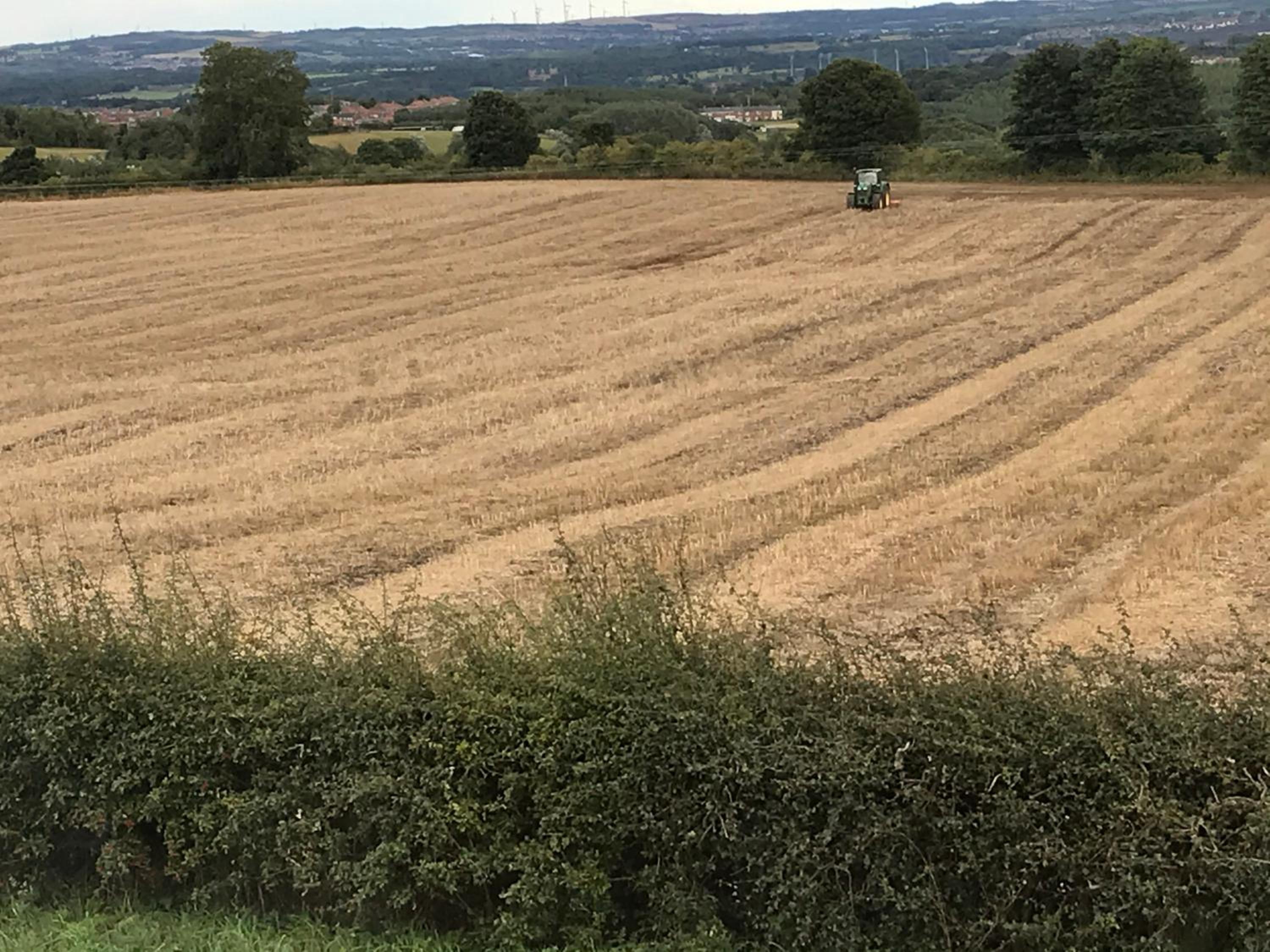 other