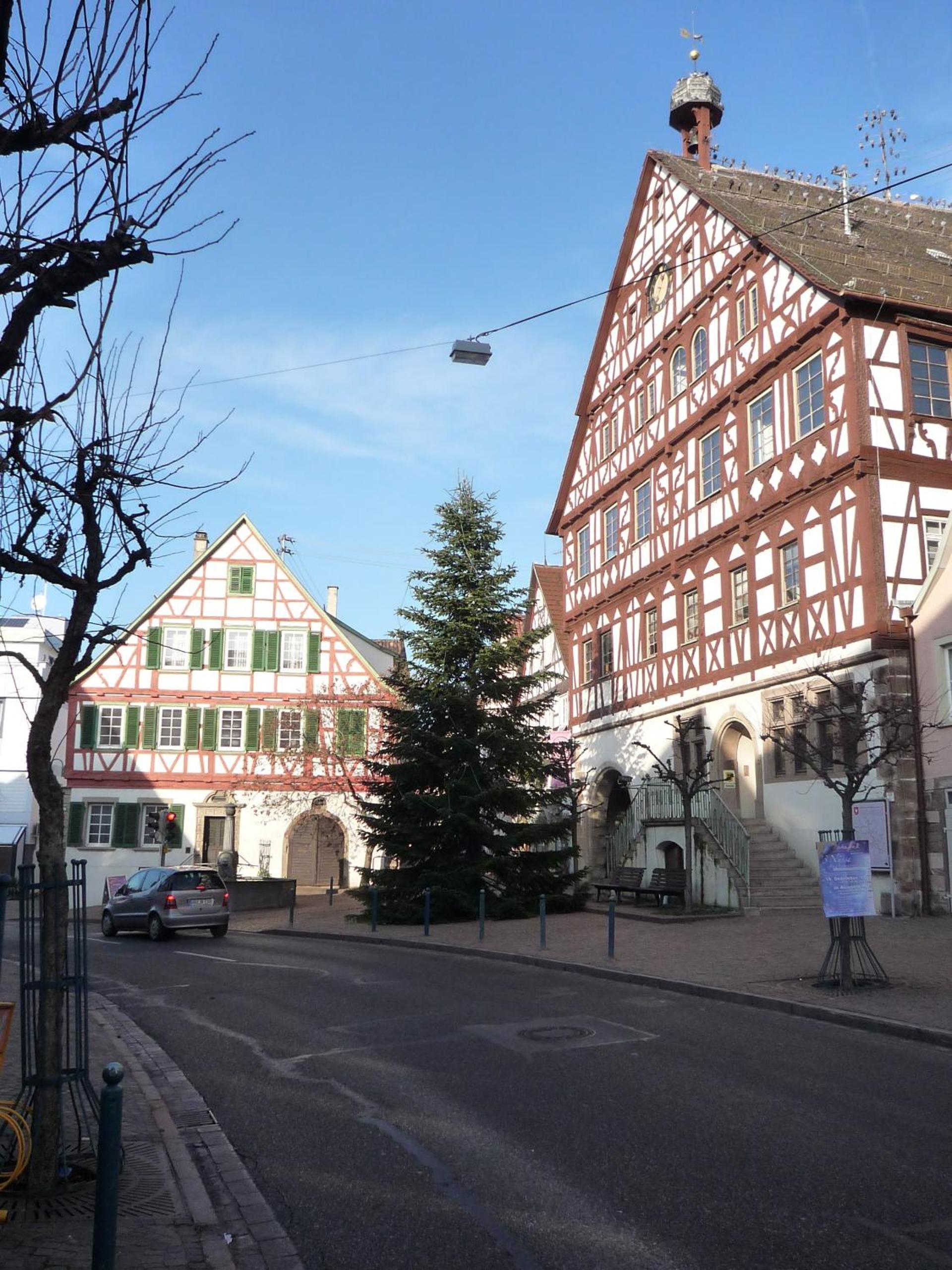 Gasthof Lamm - Property Image 5