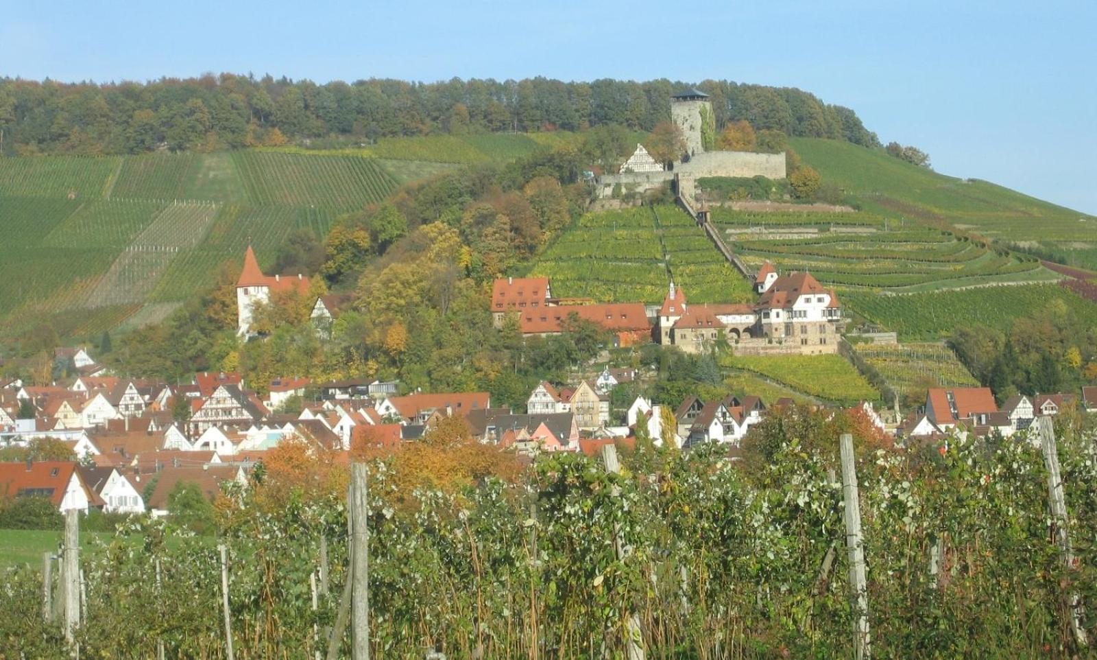 Gasthof Lamm - Property Image 4