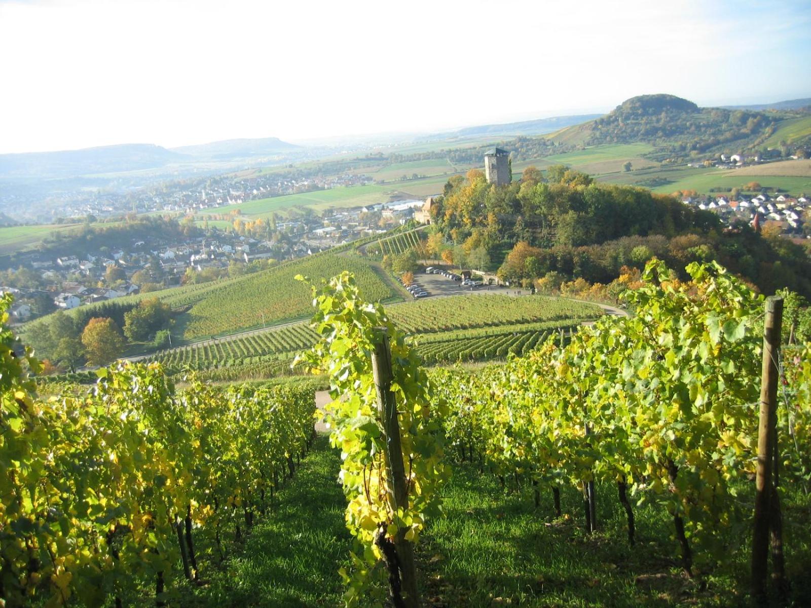 Gasthof Lamm - Property Image 3