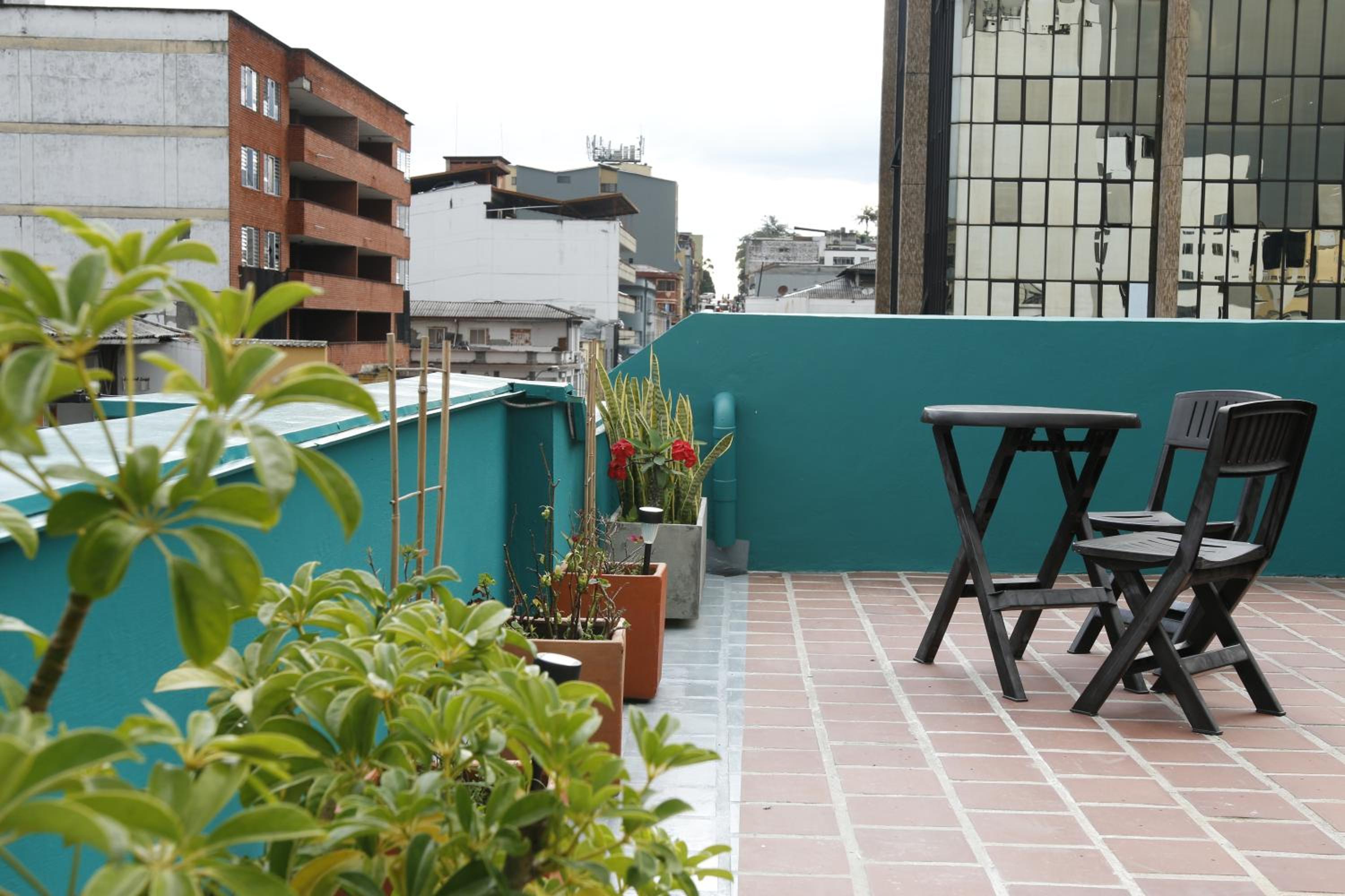 Golden Frog Manizales