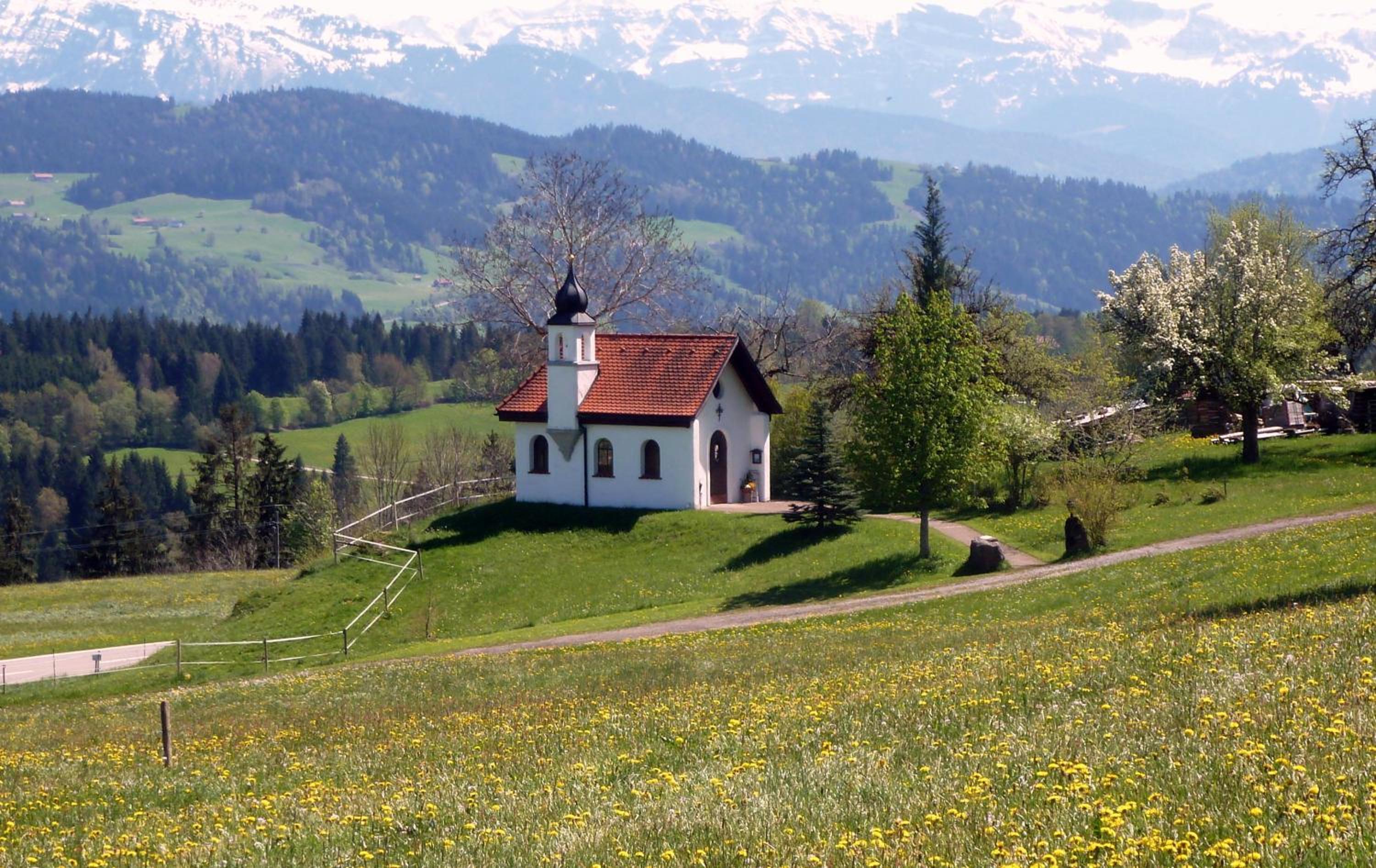 Photo 41