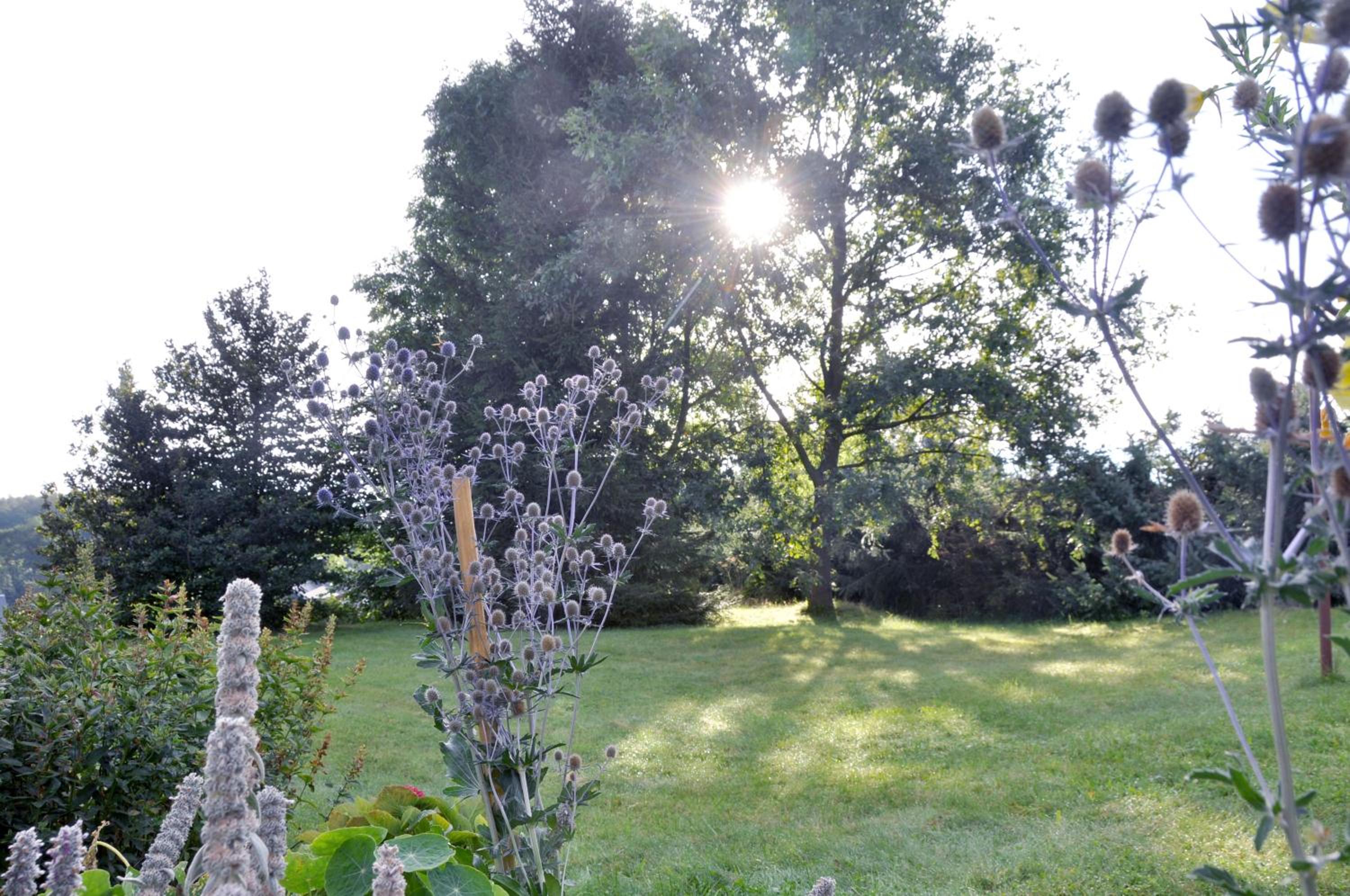 Ferienwohnung Blaumeise - Property Image 77