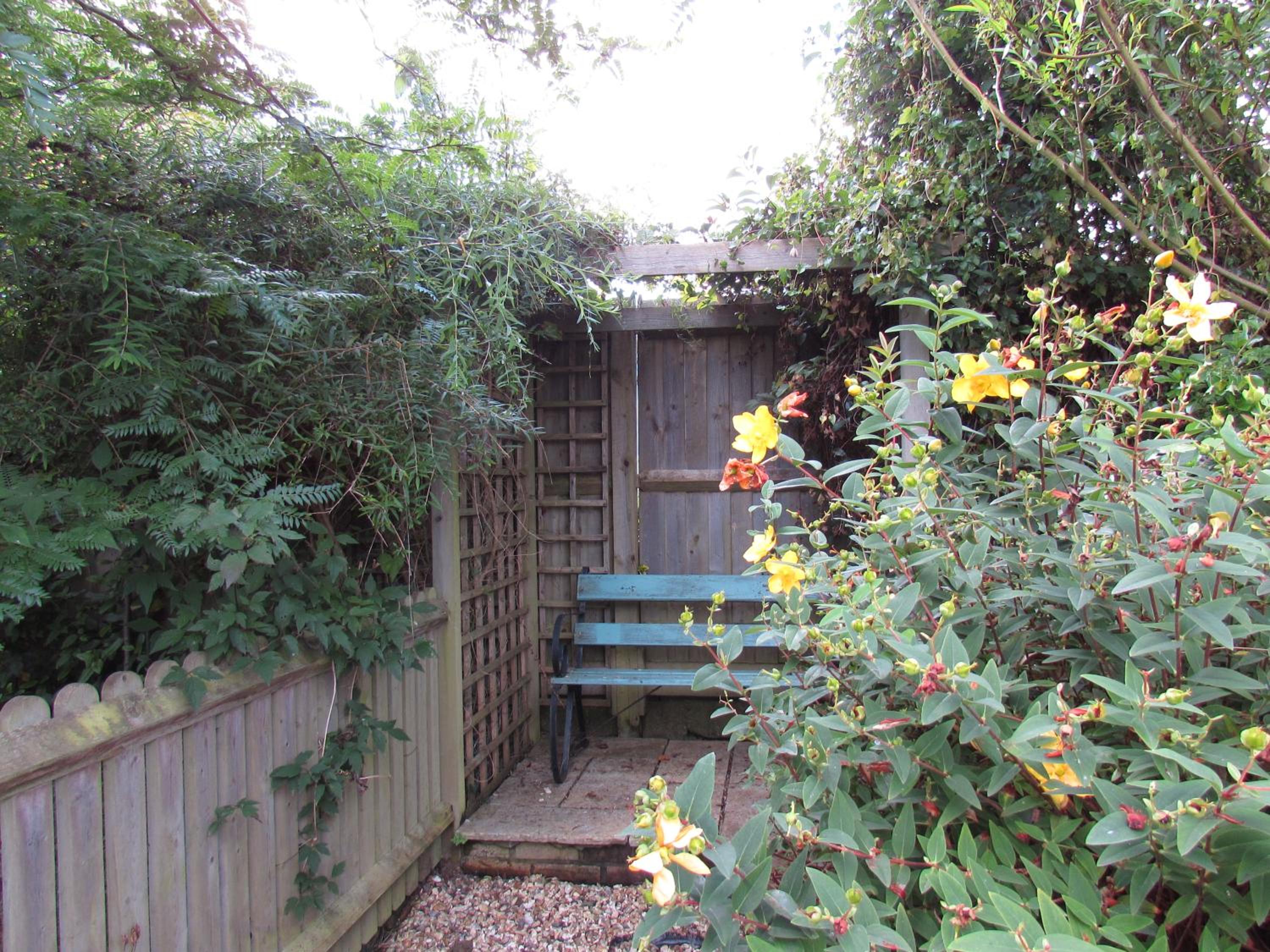 Photo 24