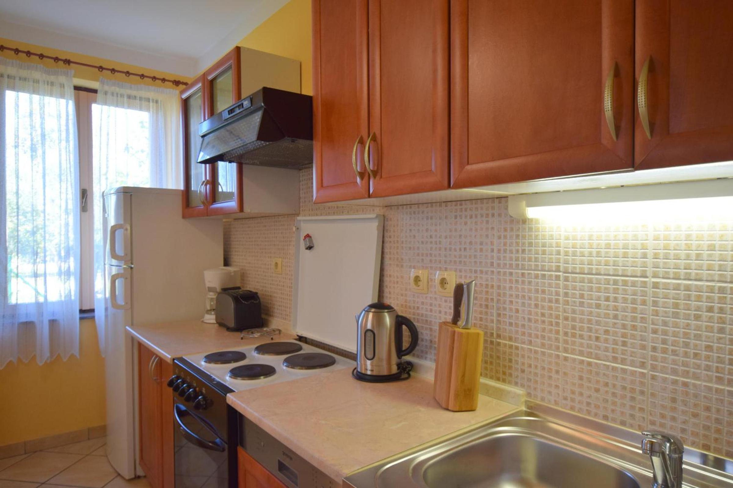 Apartment Anica