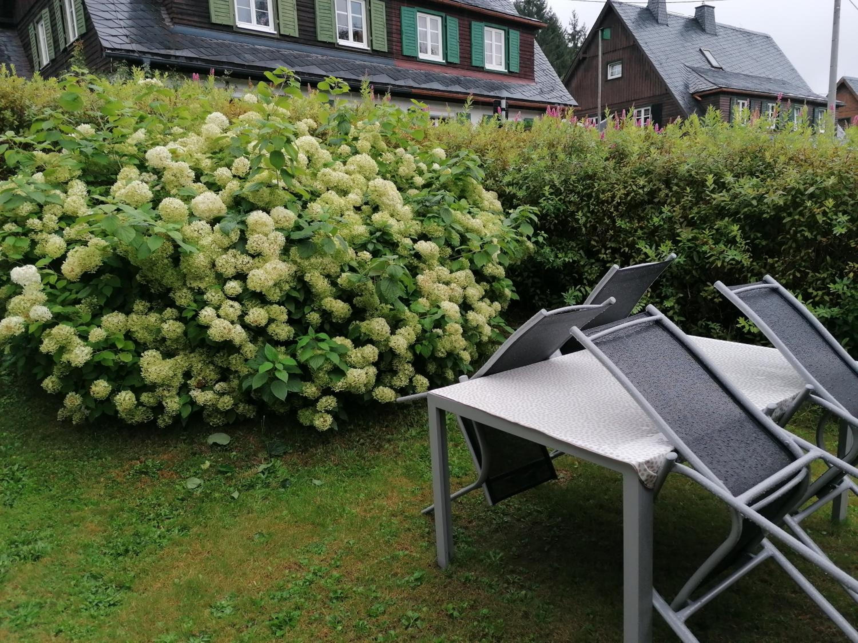 Ferienhaus am Wald - Property Image 4