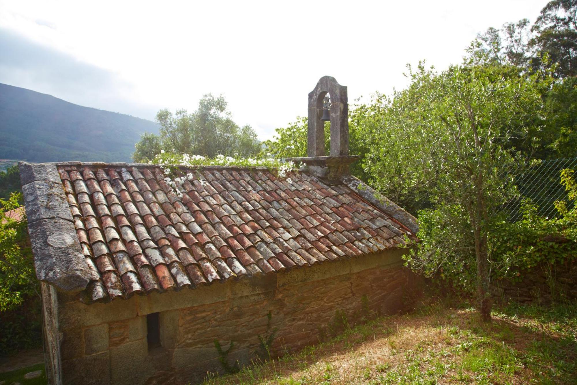 Photo 44