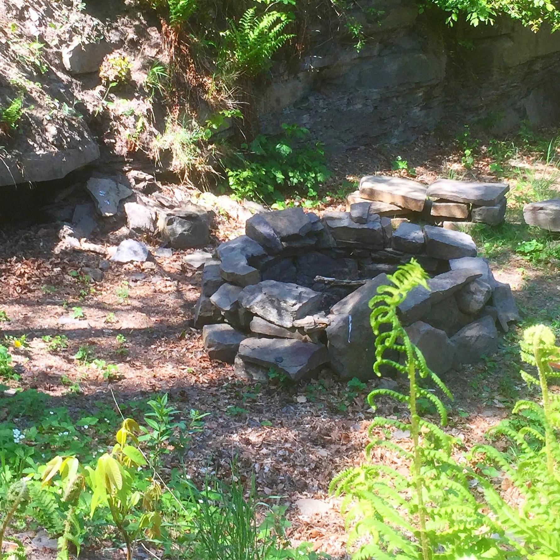 Photo 29