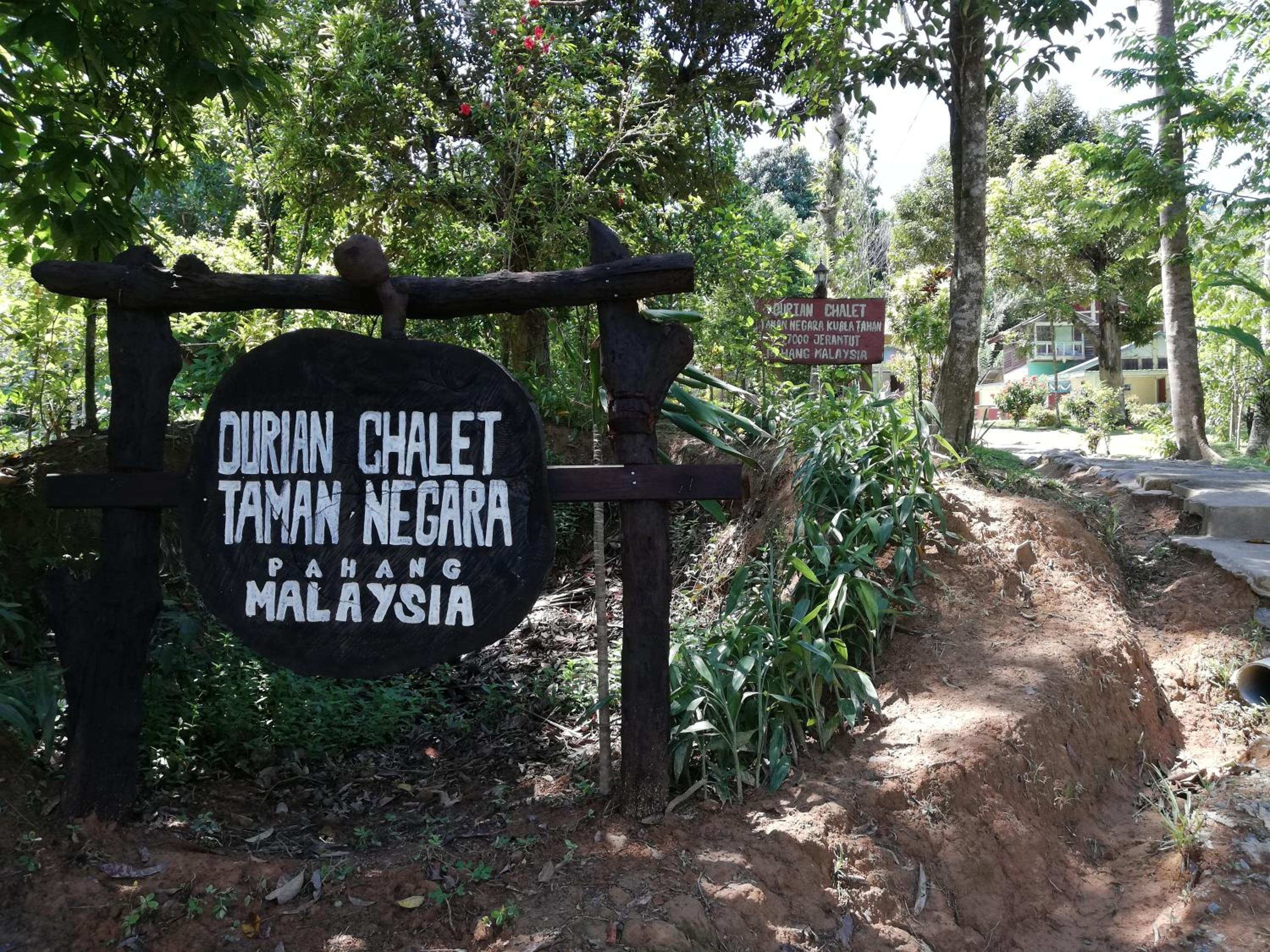 Durian Chalet photo 8