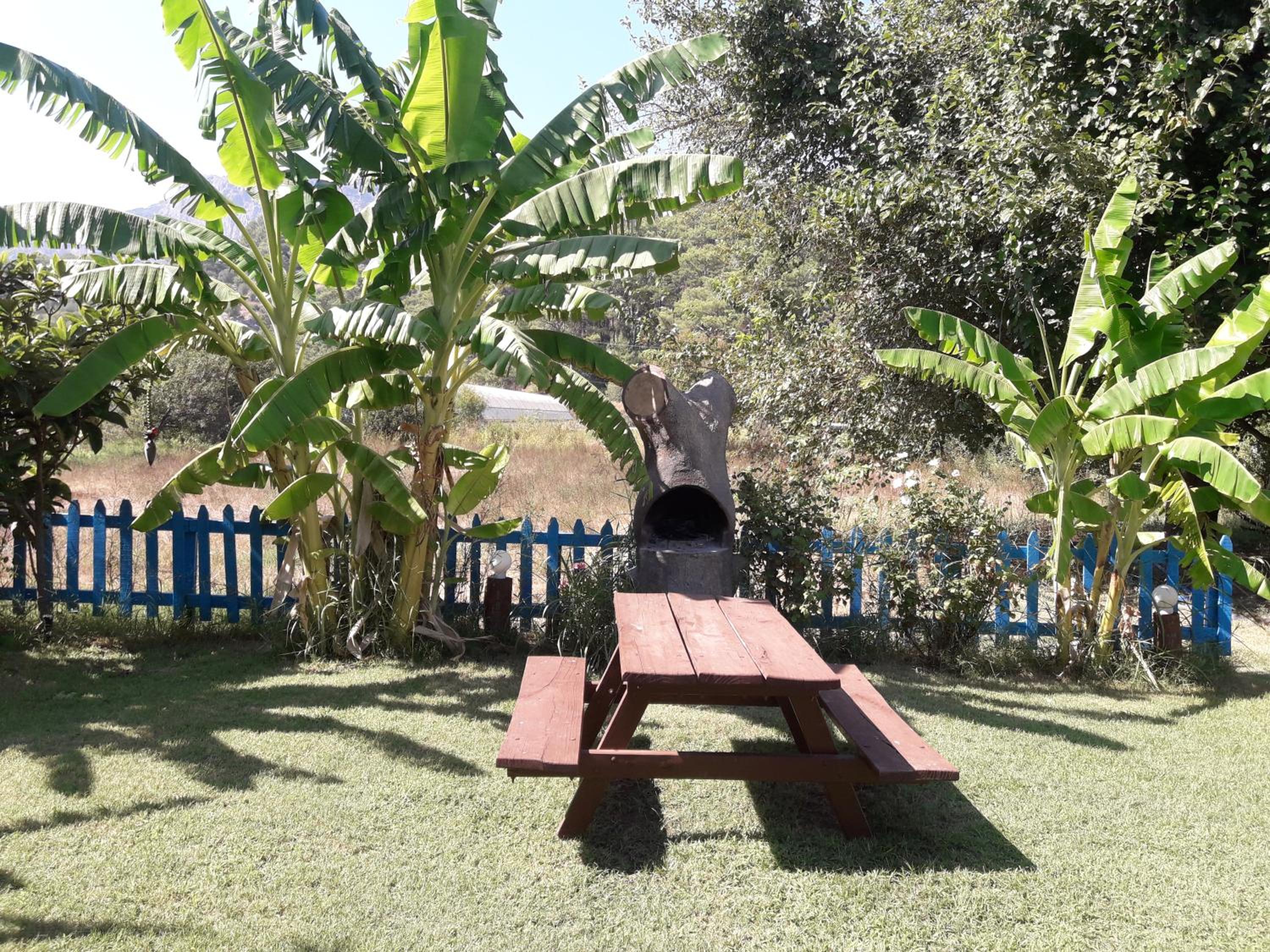 Photo 24