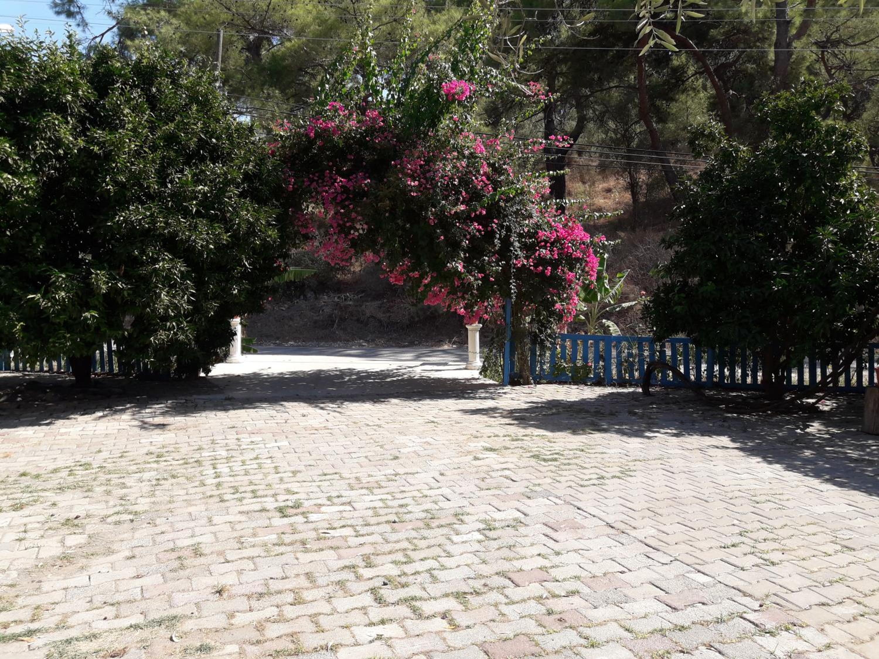 Photo 22