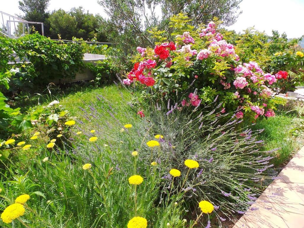 Photo 12